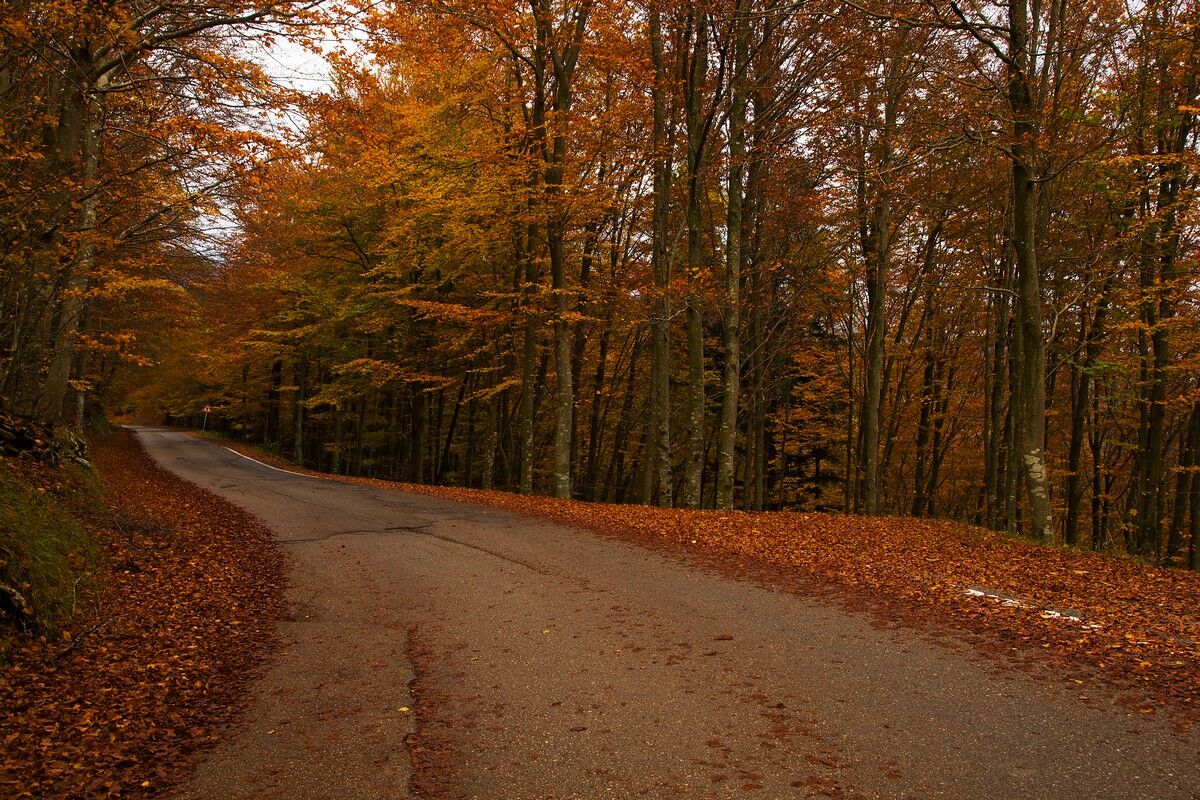 Fall