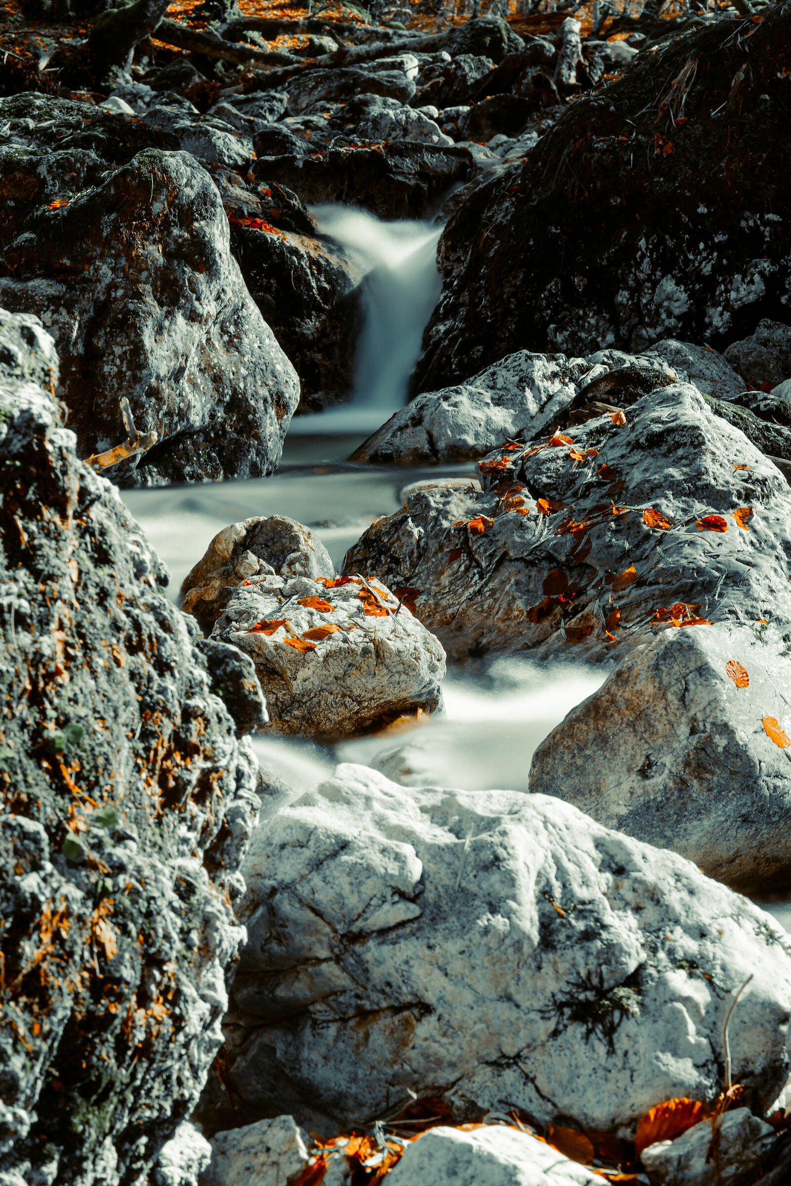 immerso nella natura