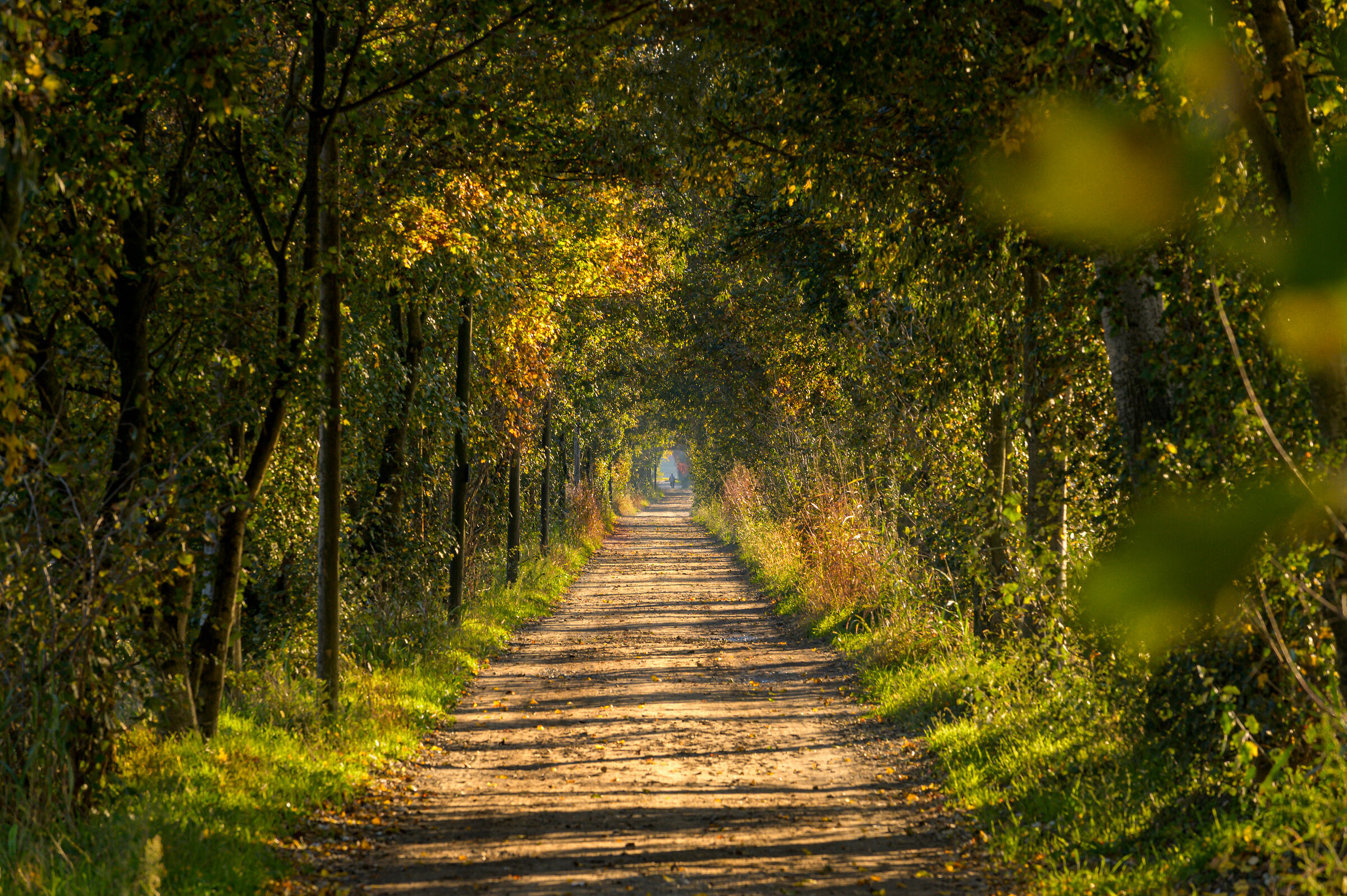 Lunga è la strada..