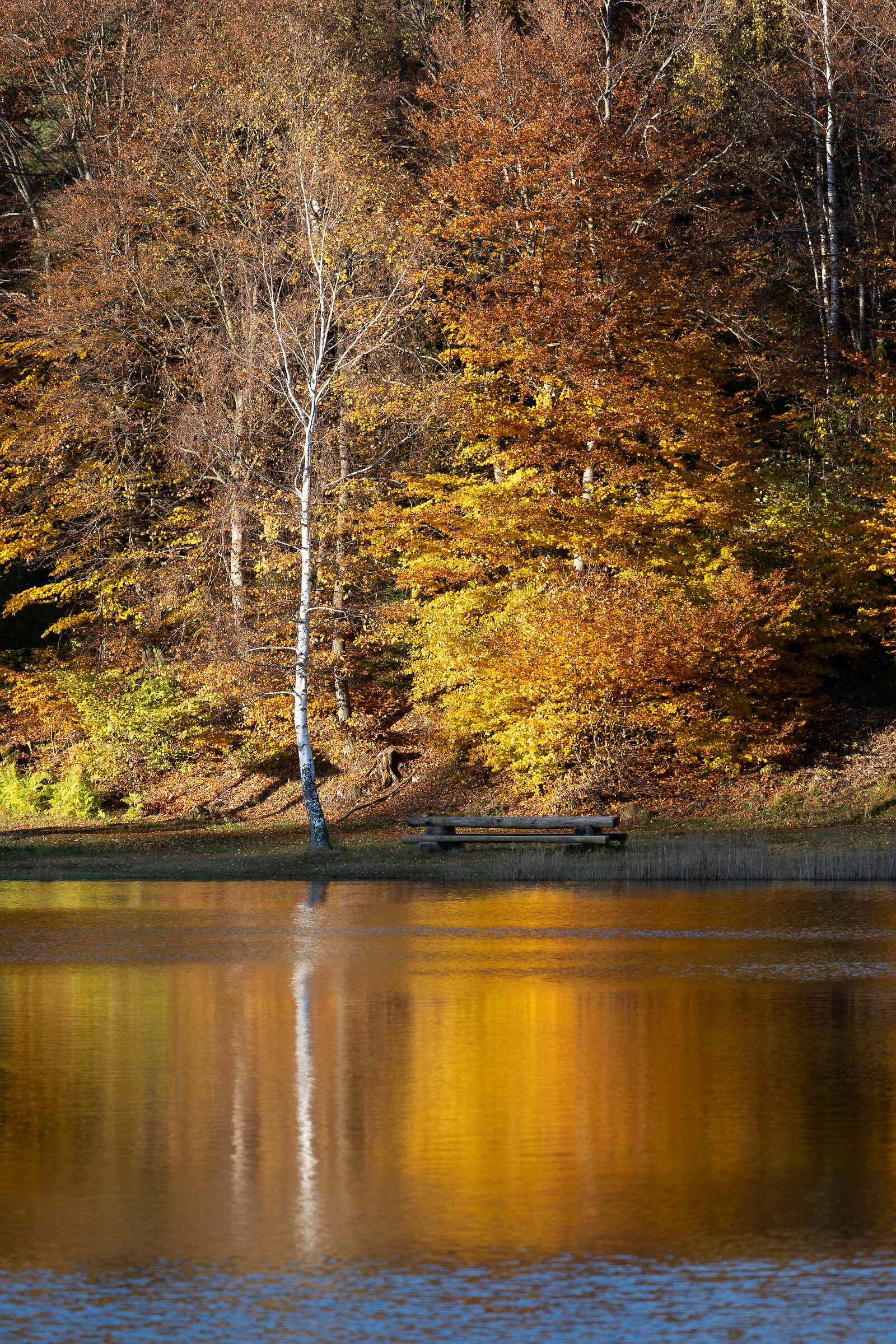 Lago Santo - riflessi