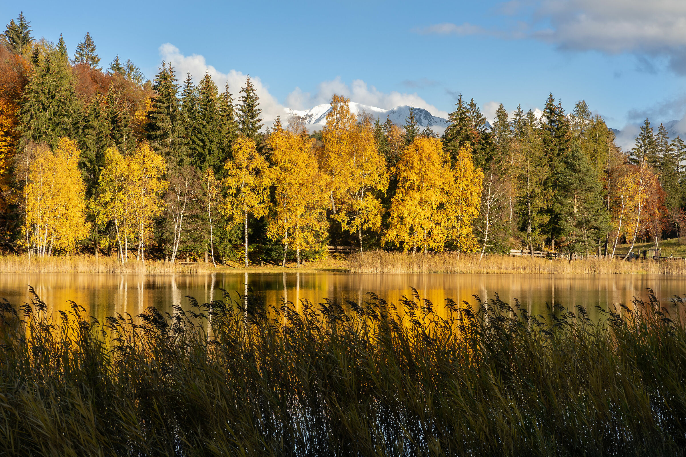 Lago Santo - autunno