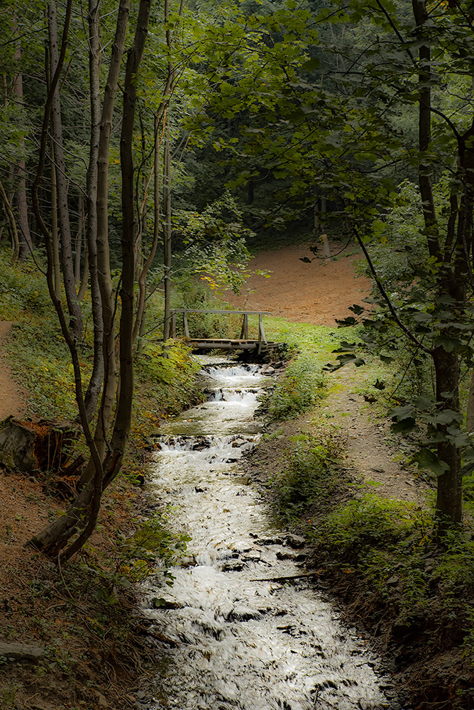 Untitled Photo