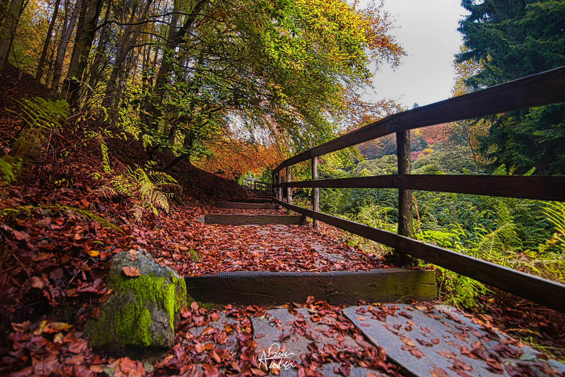 Conca dei rododendri