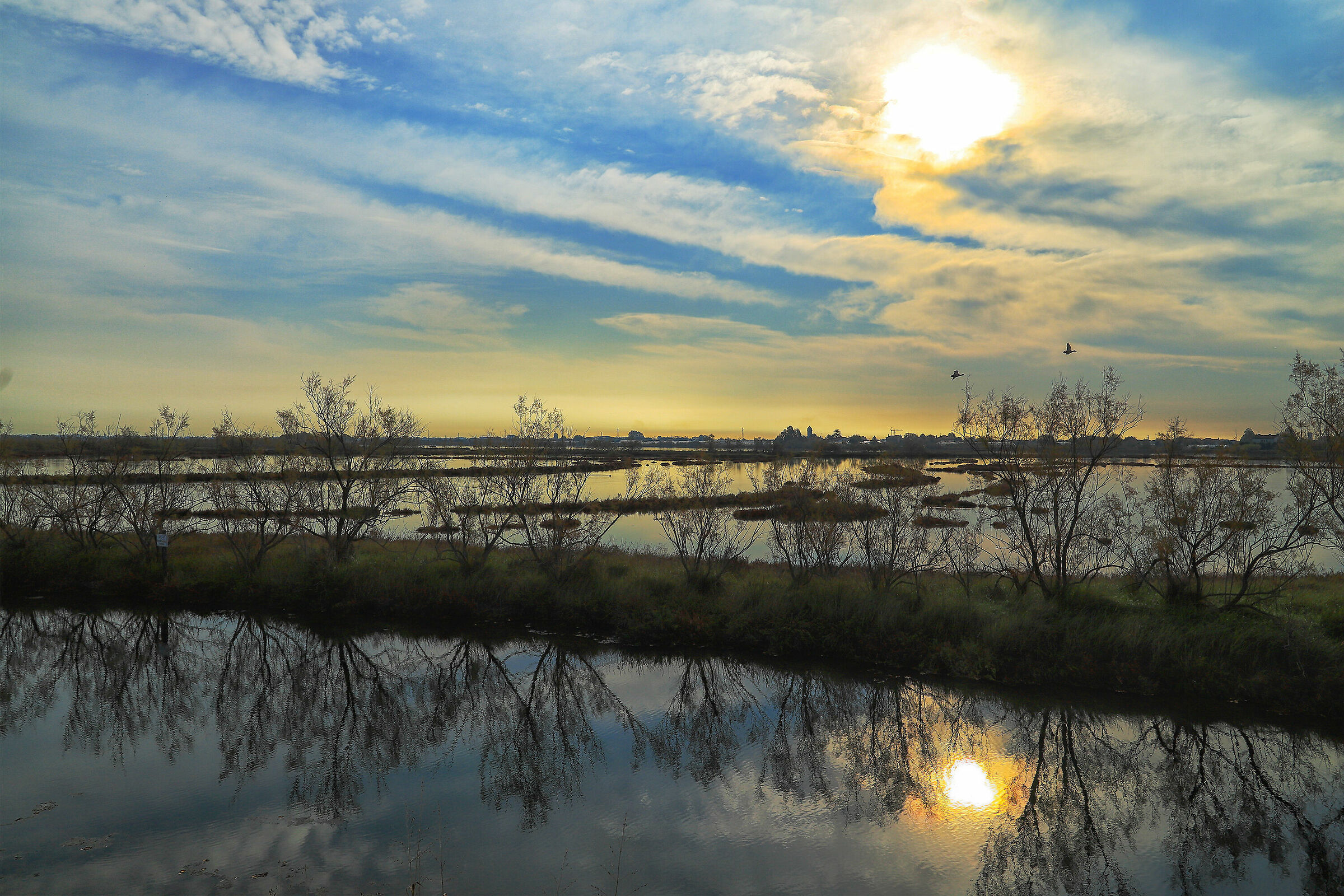 Lio Piccolo D'autunno
