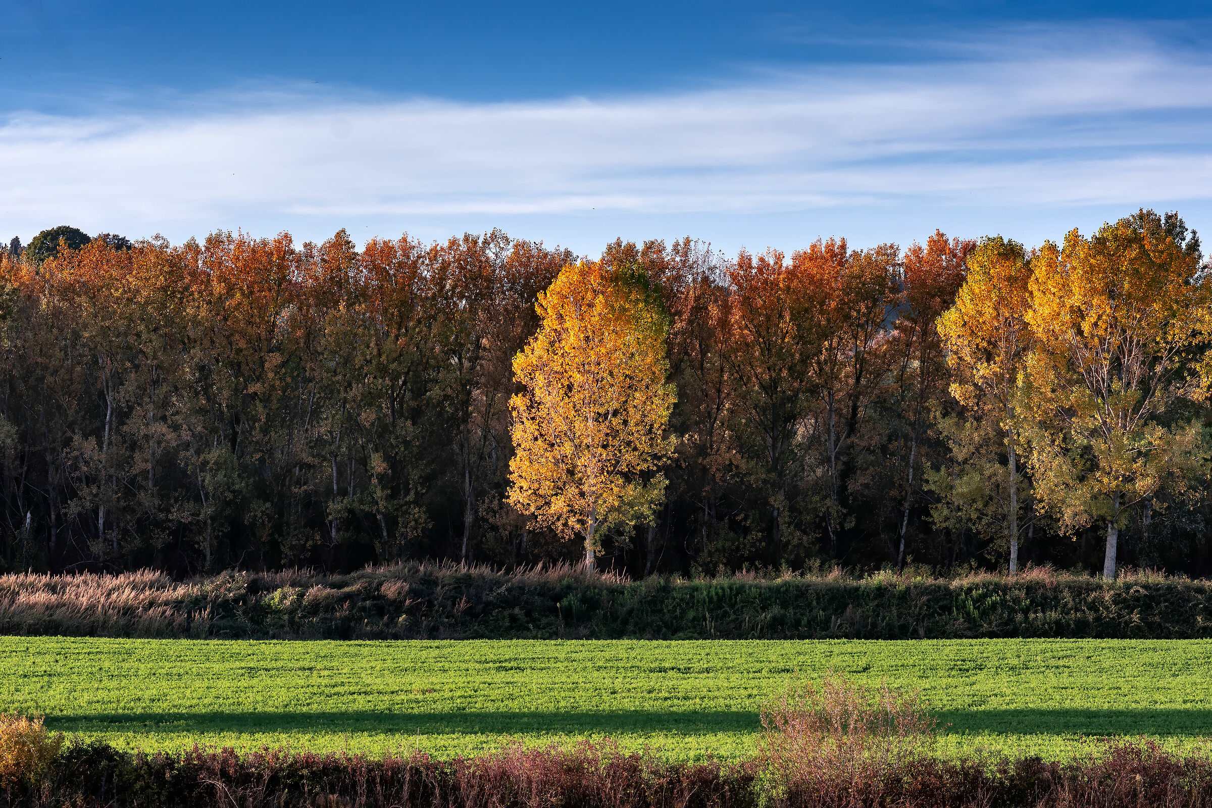 fra umbria e toscana poco prima dell'ora d'oro