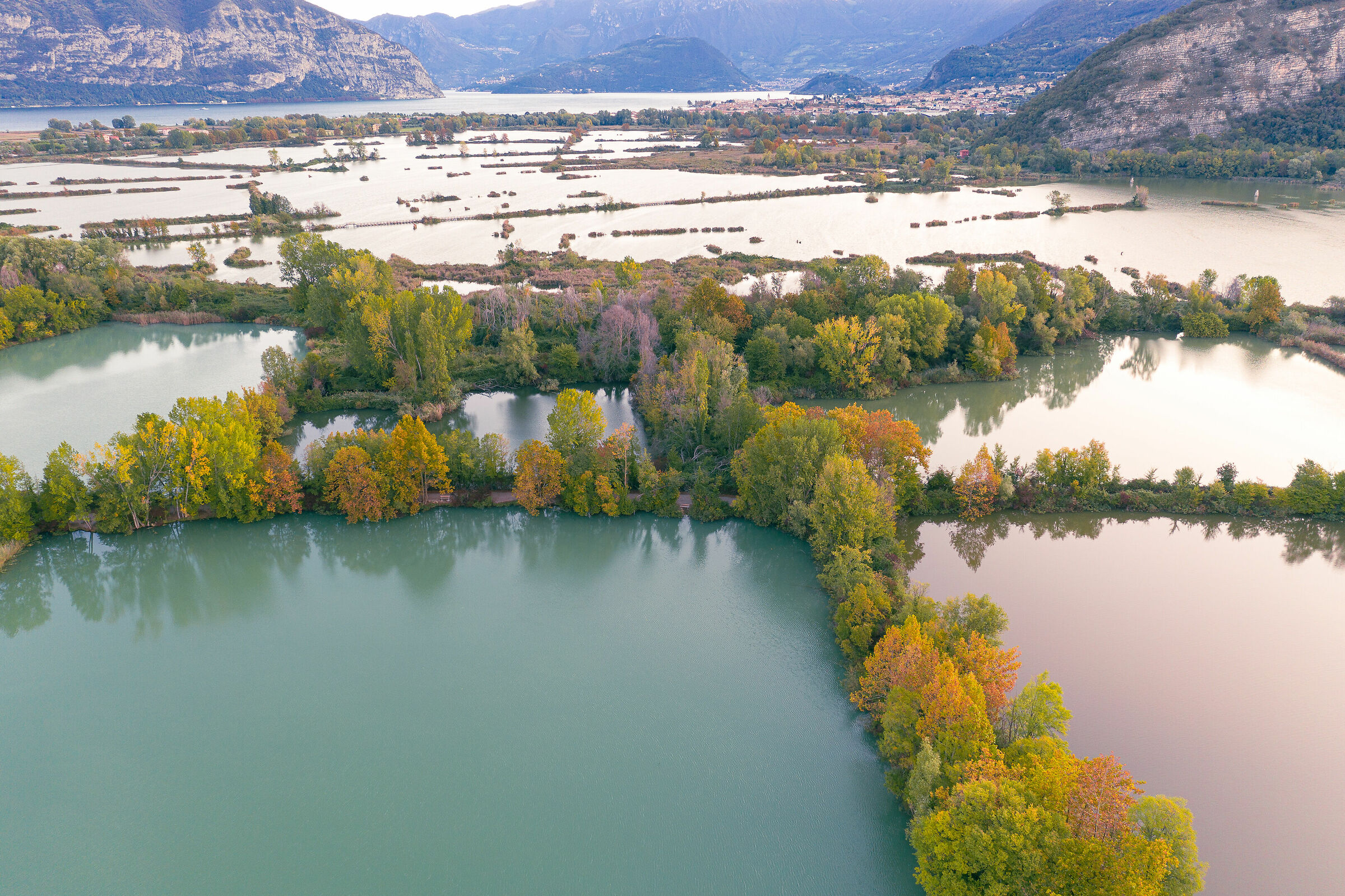Autunno alle Torbiere