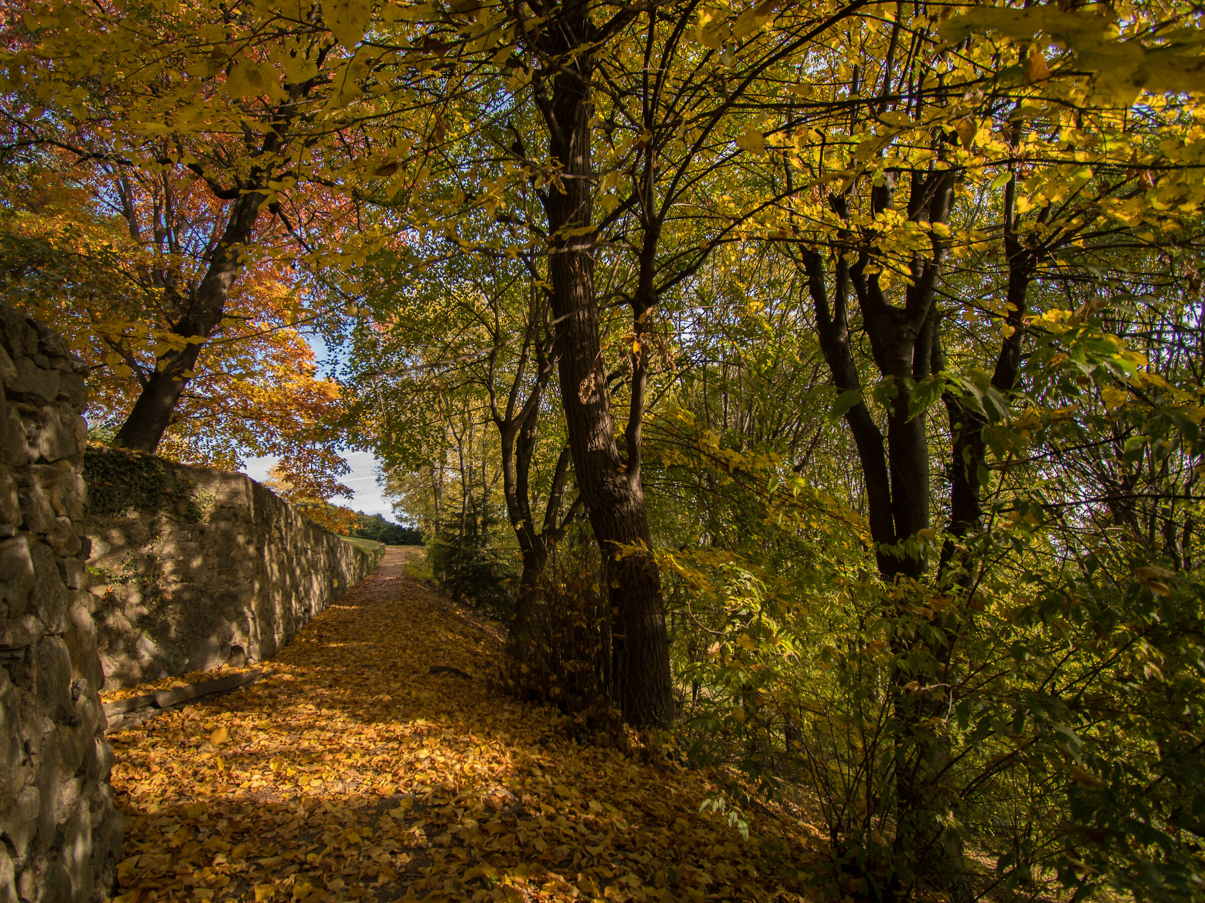 Nel parco di San Grato Rivoli