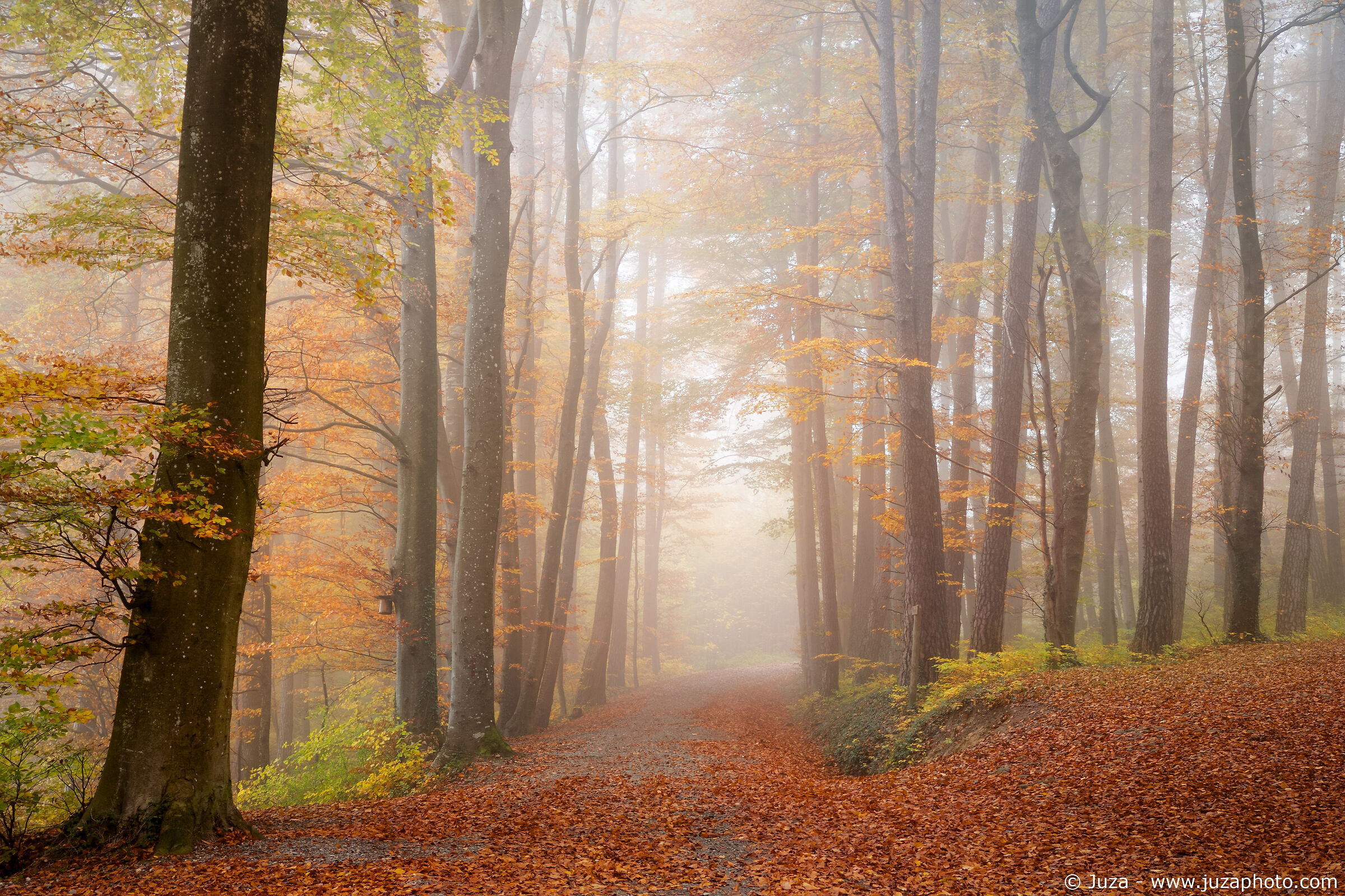 L'autunno in Svizzera