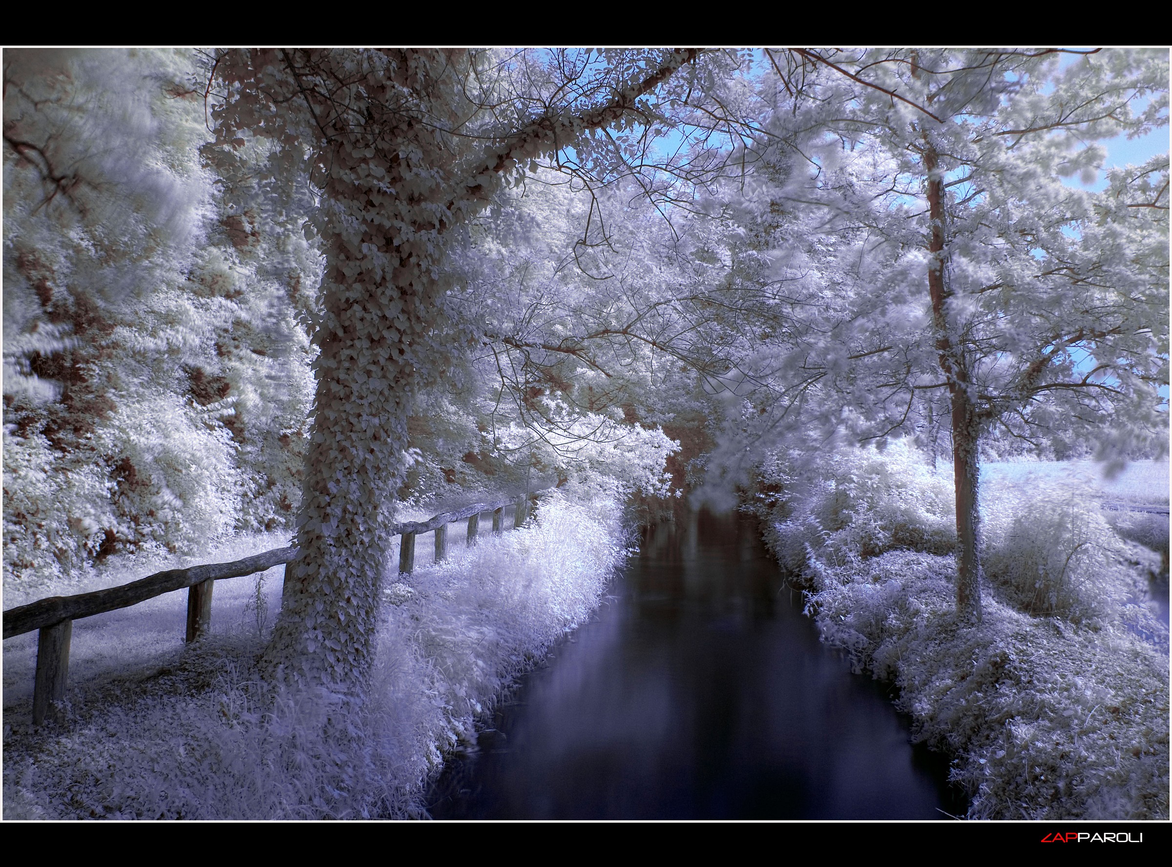 Il Bosco della Fontana