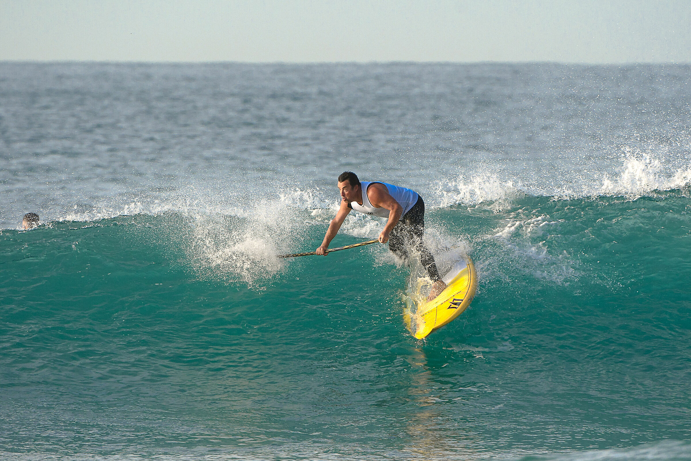 Surf
