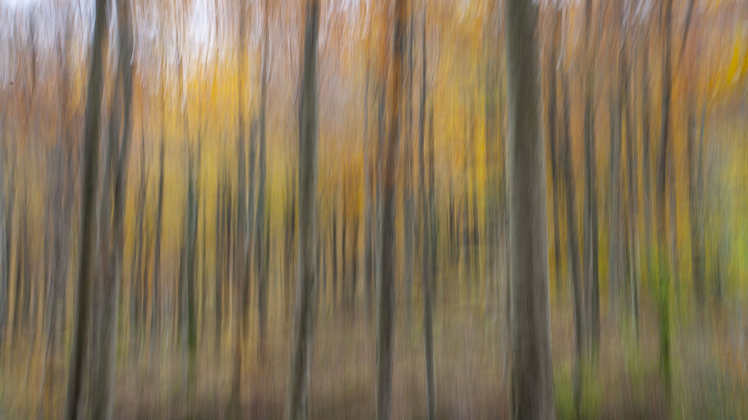 autunno mosso creativo