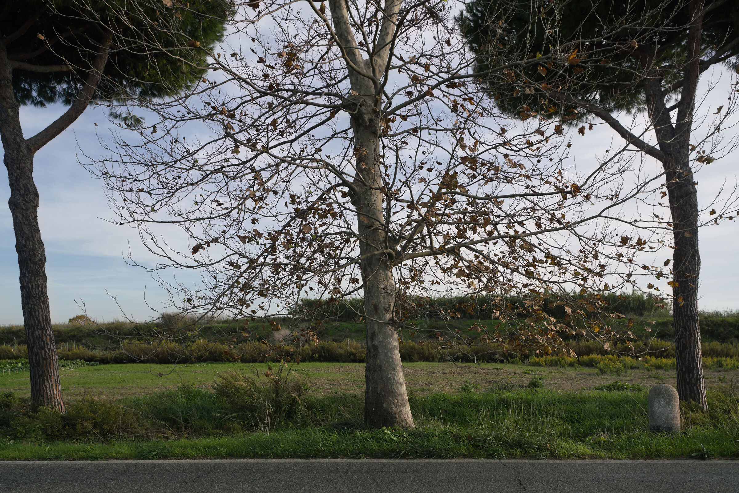 Fiumicino, via portuense, 2020.10.30