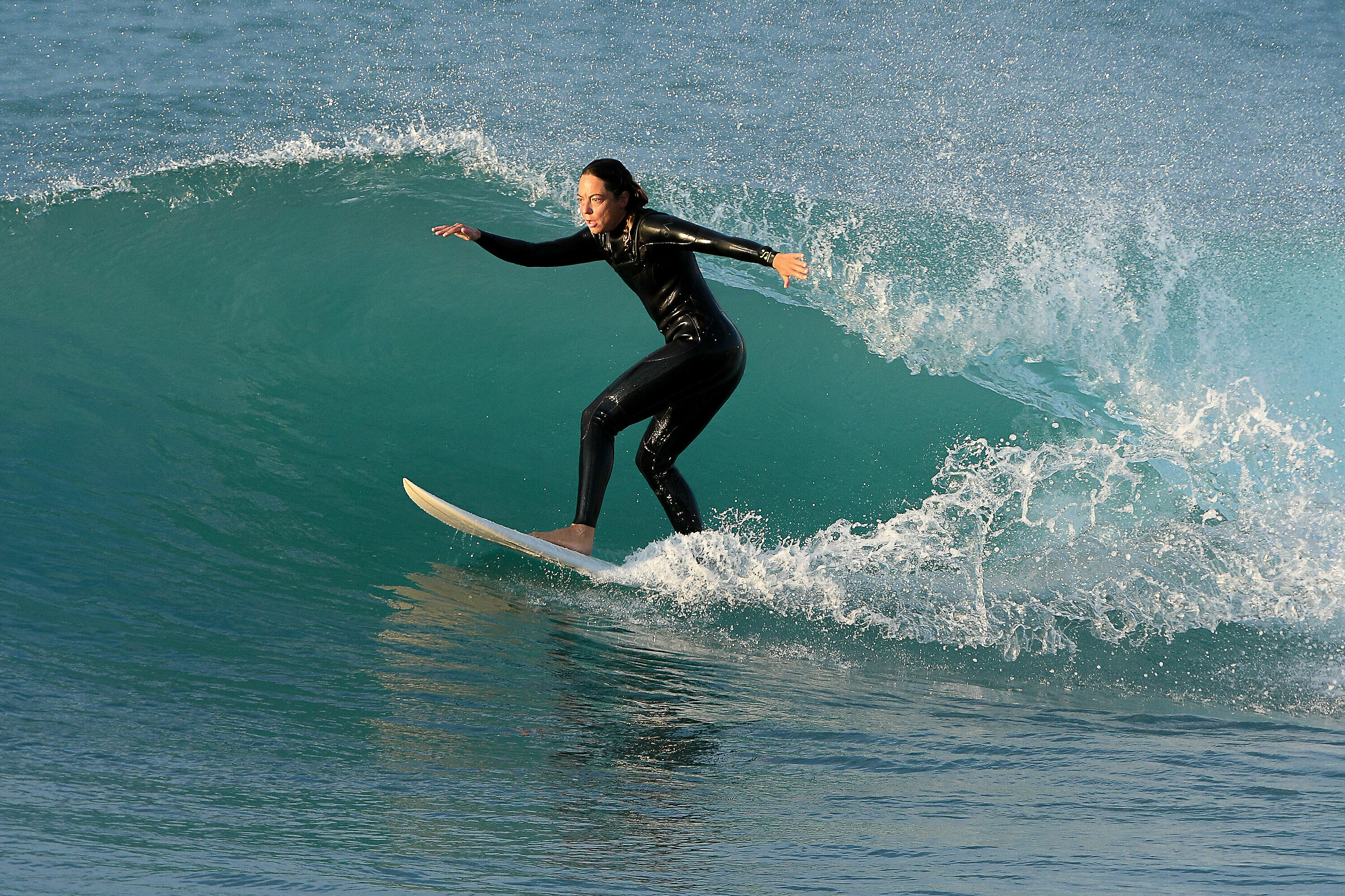 Surf