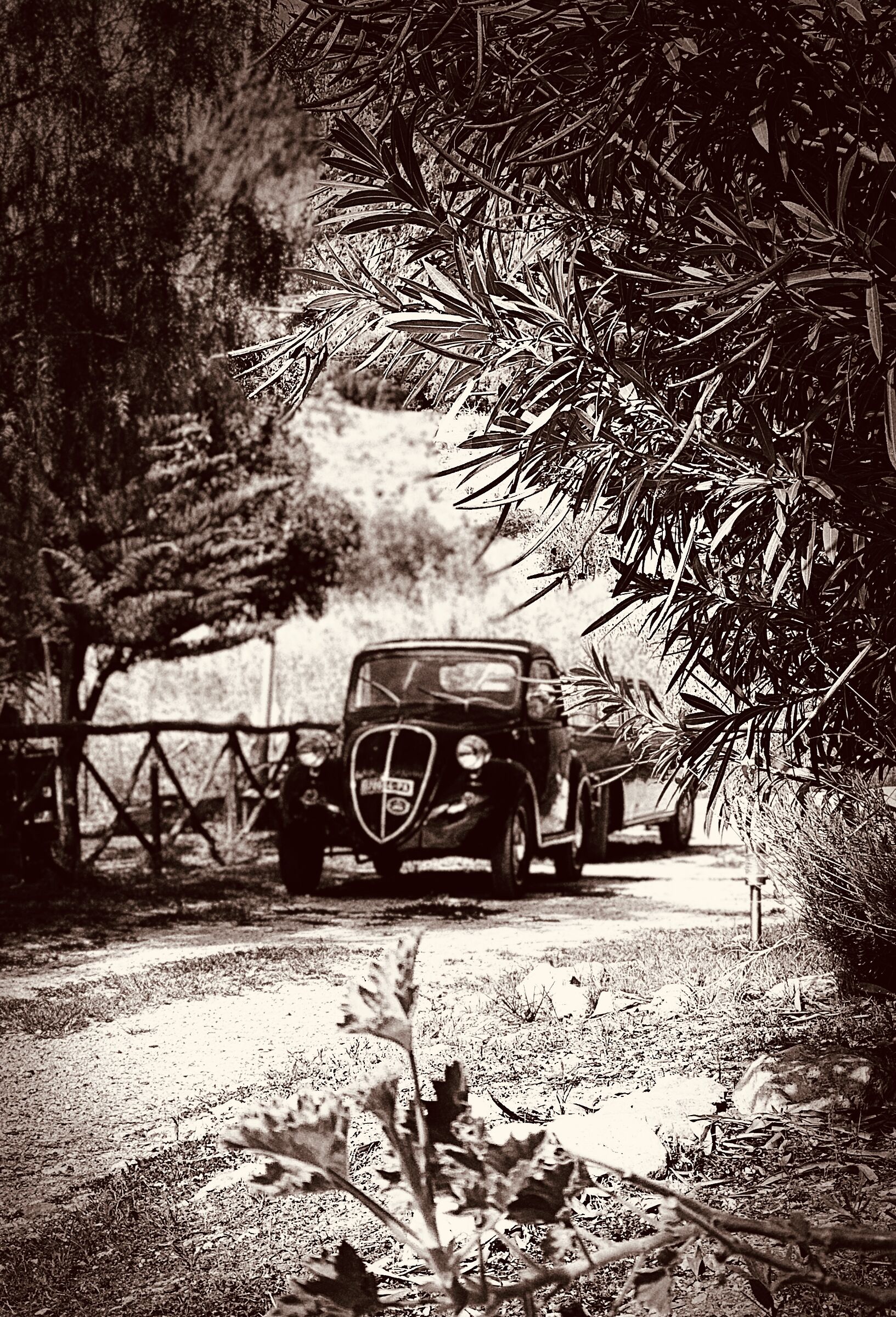 Passeggiata vintage