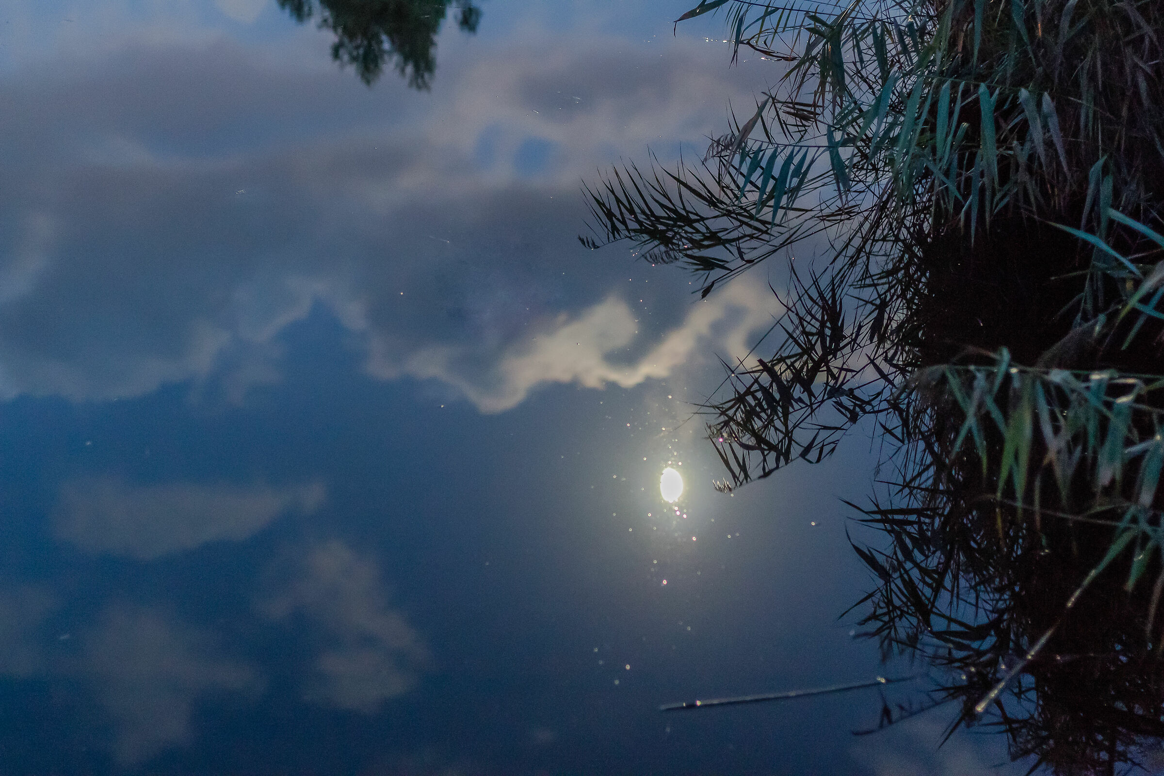 La luna che cade in un lago dipinto di blu