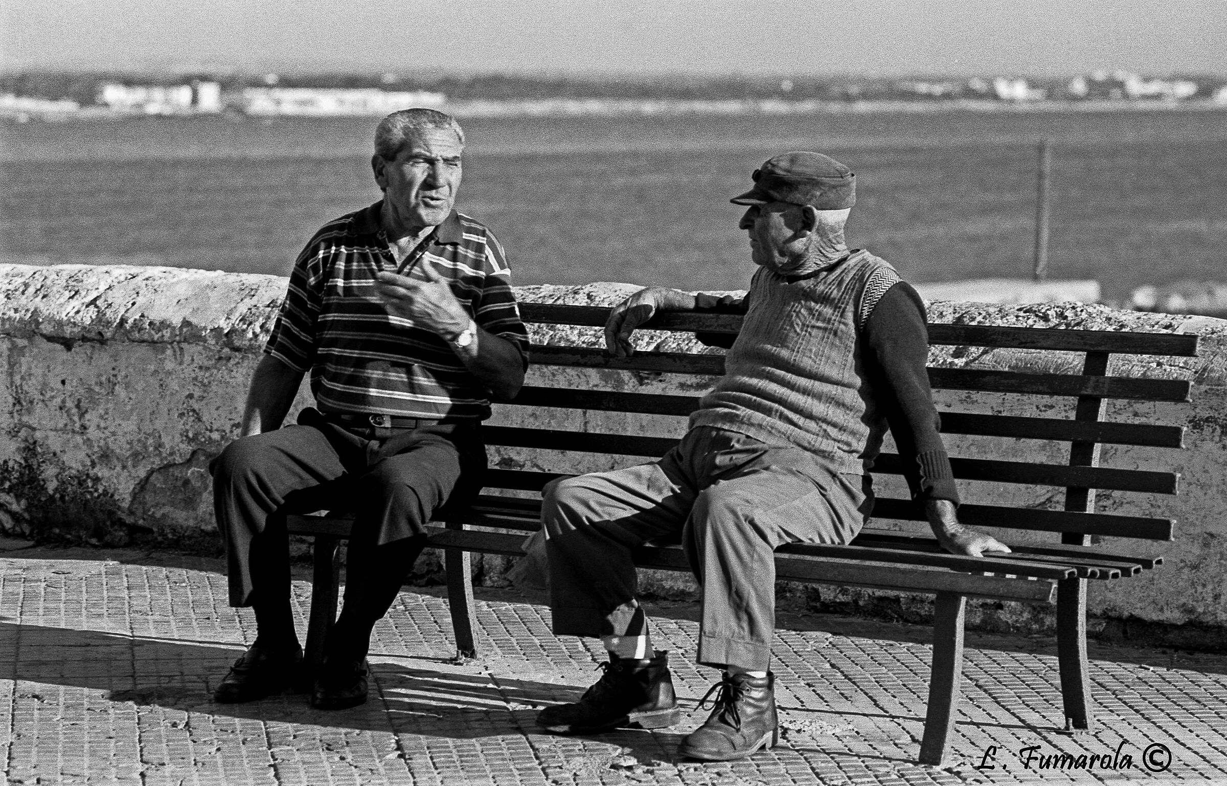 Chissà cosa avranno da raccontarsi...