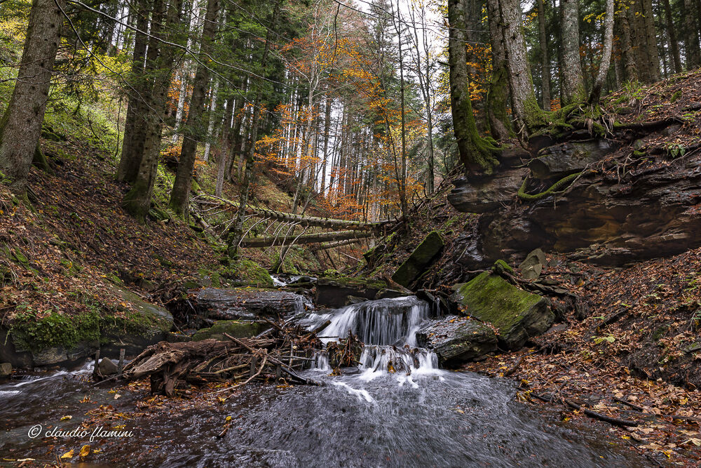 colori d'autunno