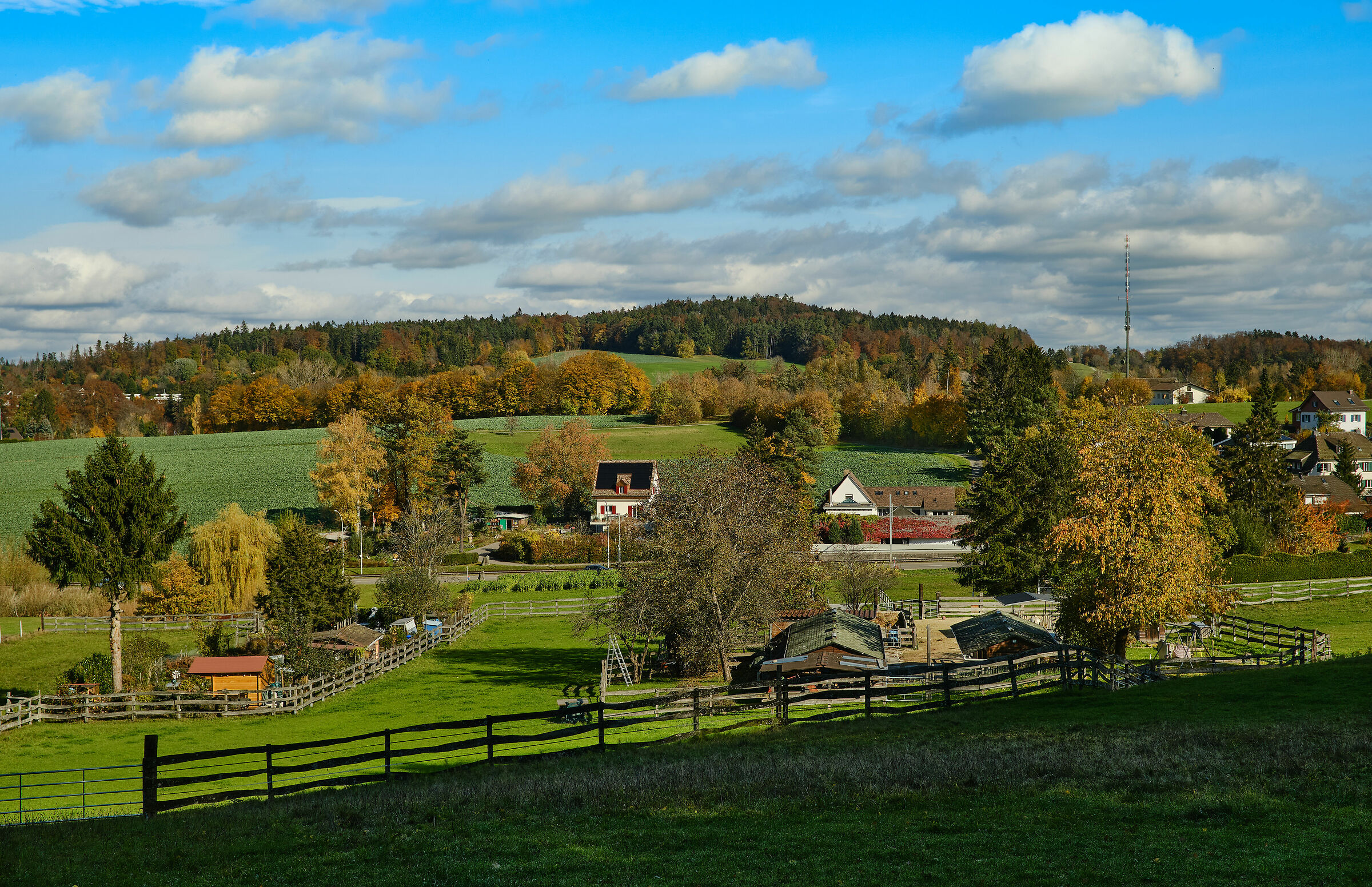 Colline in autunno