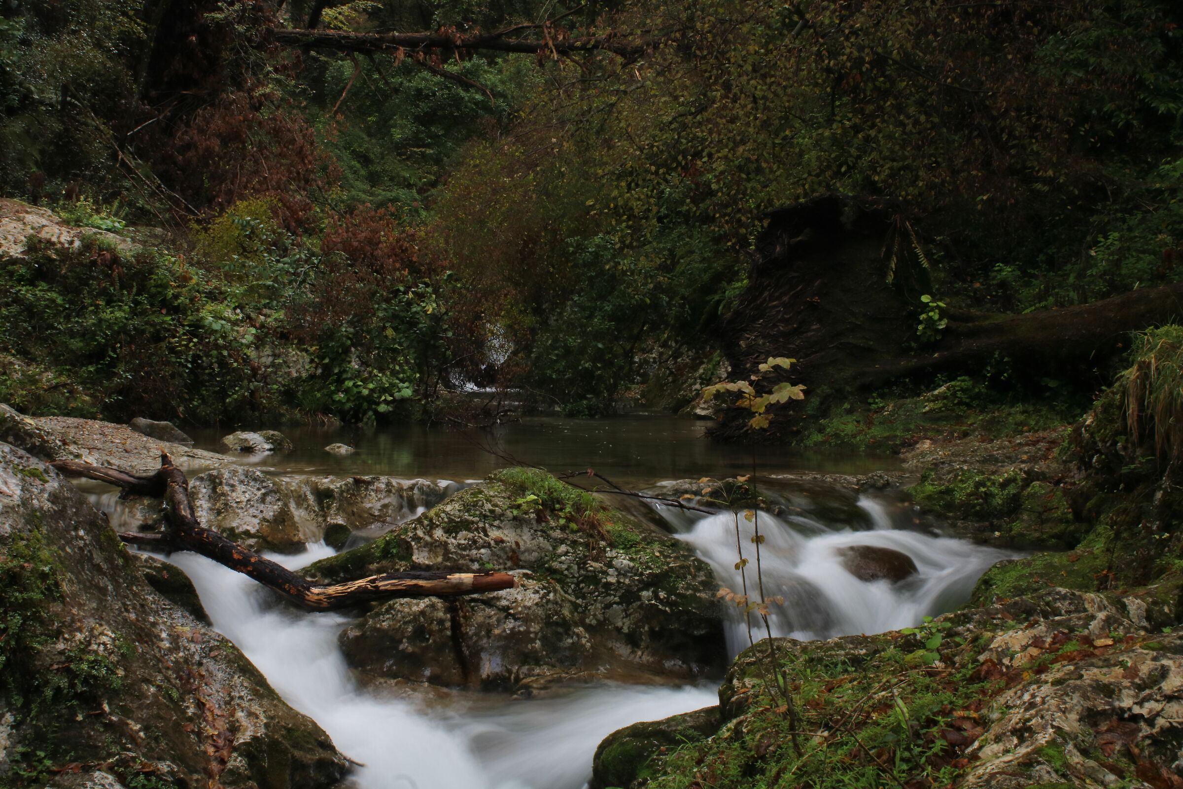 Candalla. Camaiore (lu)
