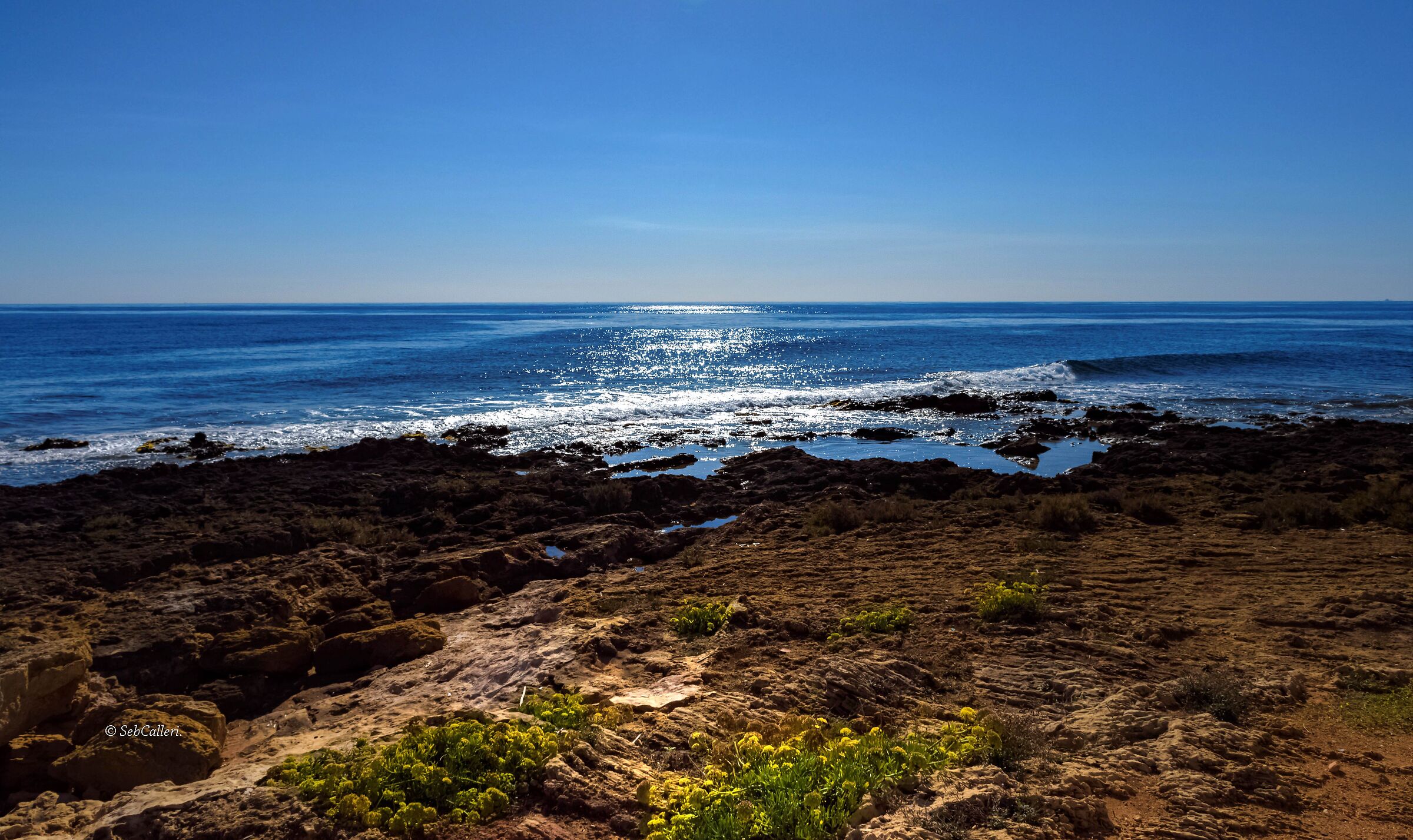 " Com'è profondo il mare.."