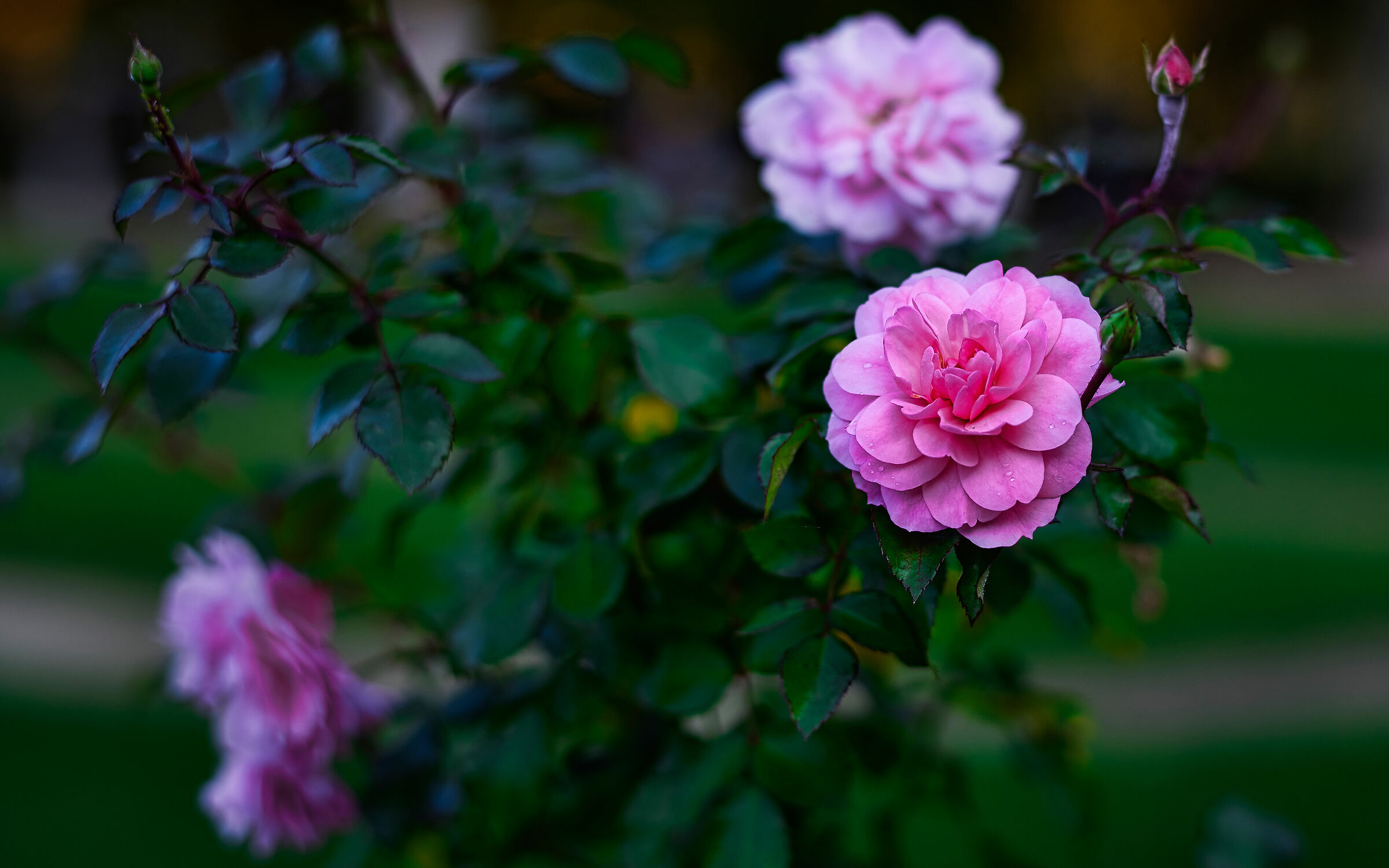 La bellezza della semplicità