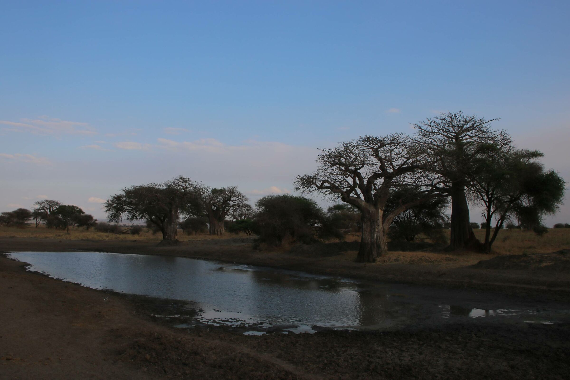 ... always to the pool!