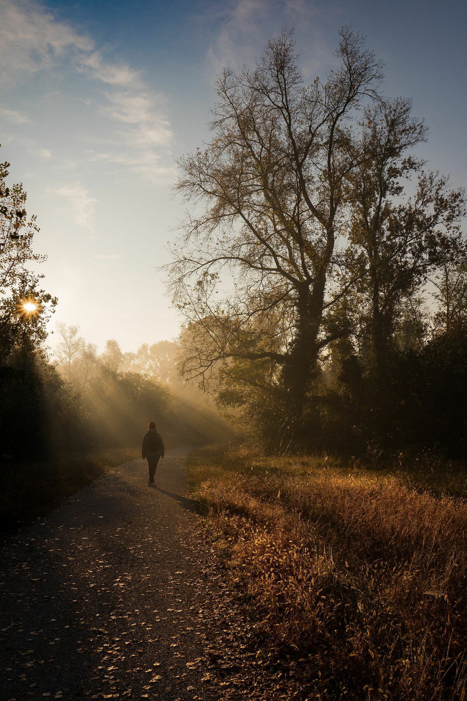 promenade in the sunshine