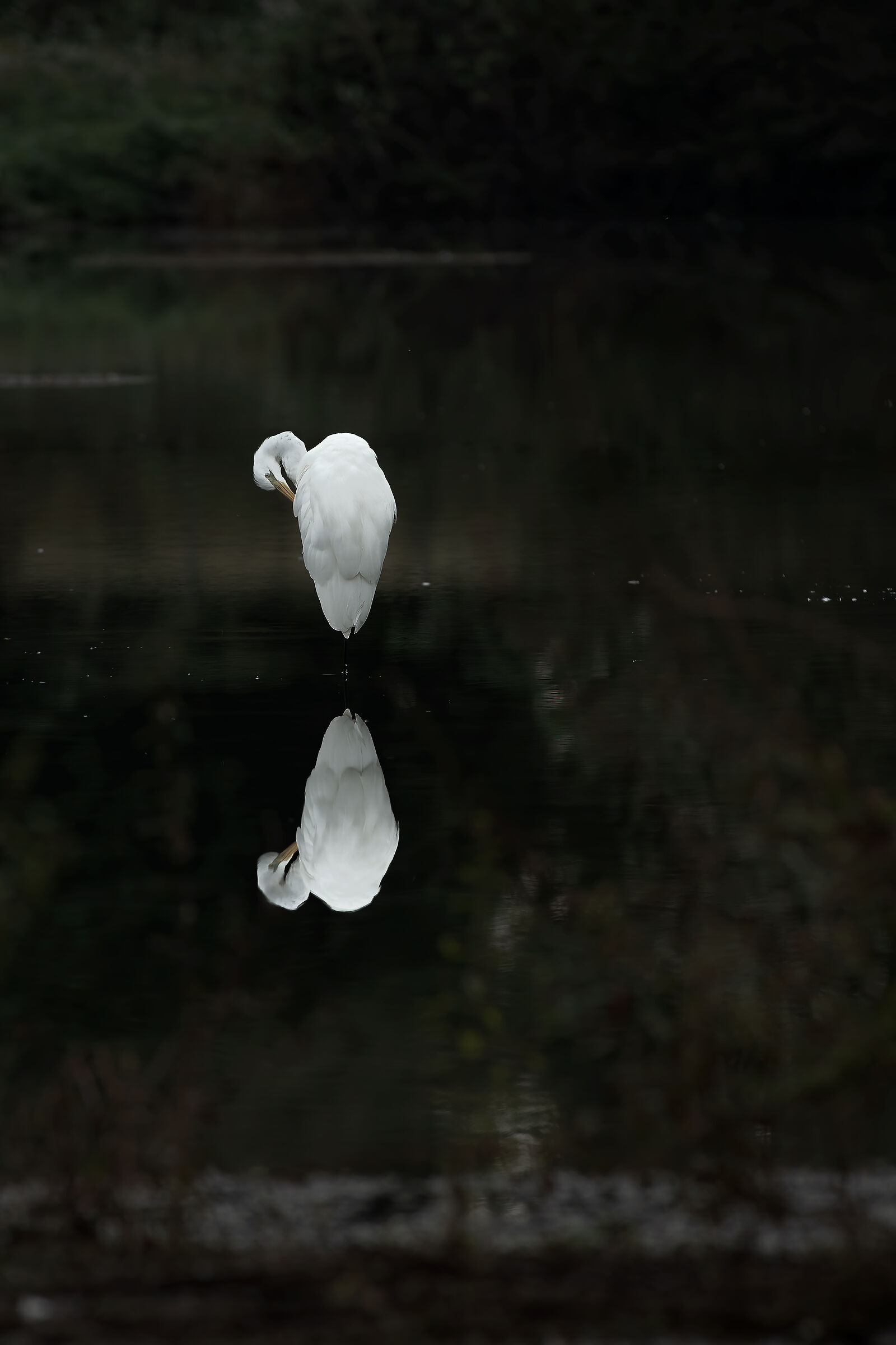 Mirror.