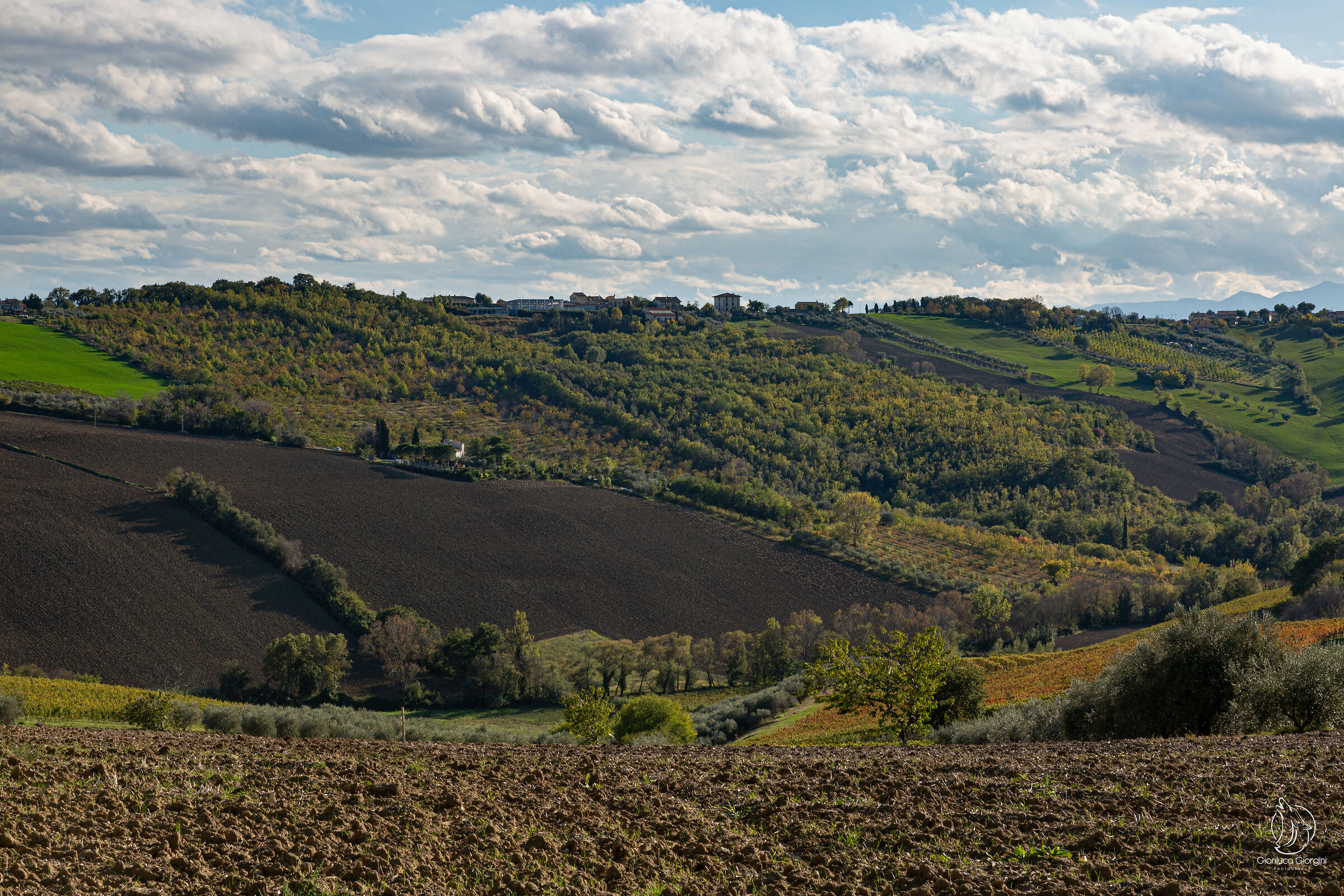 landscapes of the Marche