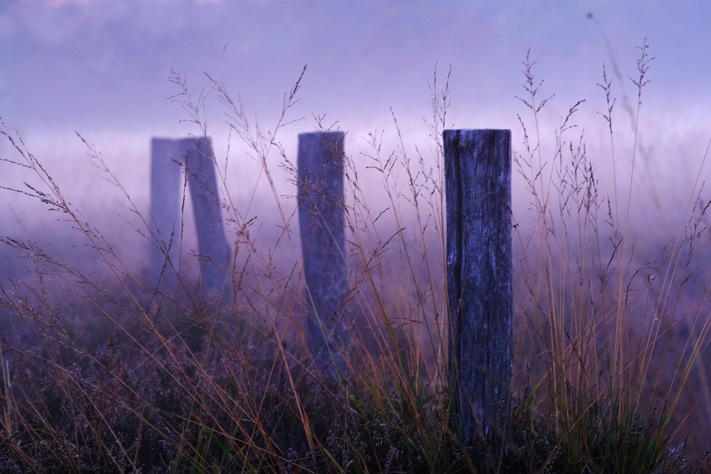 Meditazione autunnale