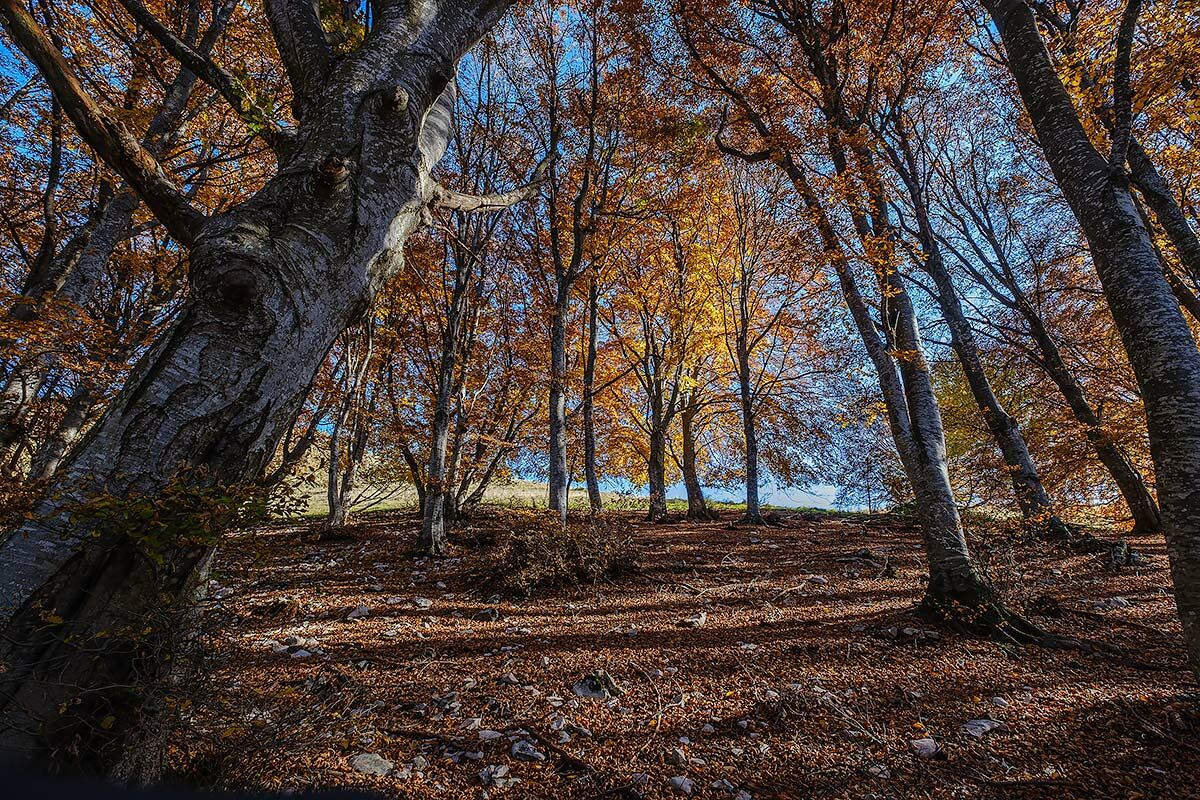 Novezzina, Monte Baldo