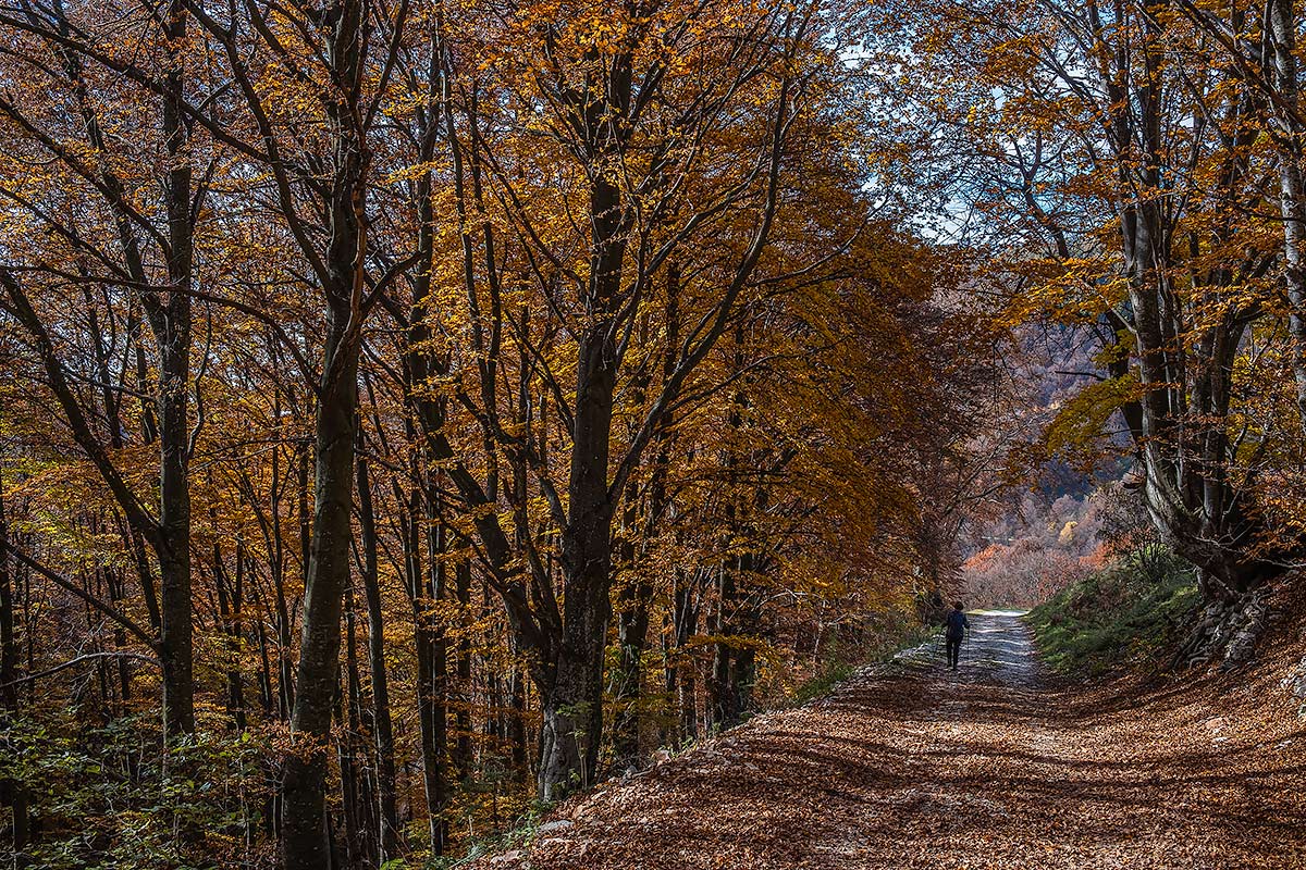 Novezzina, Monte Baldo