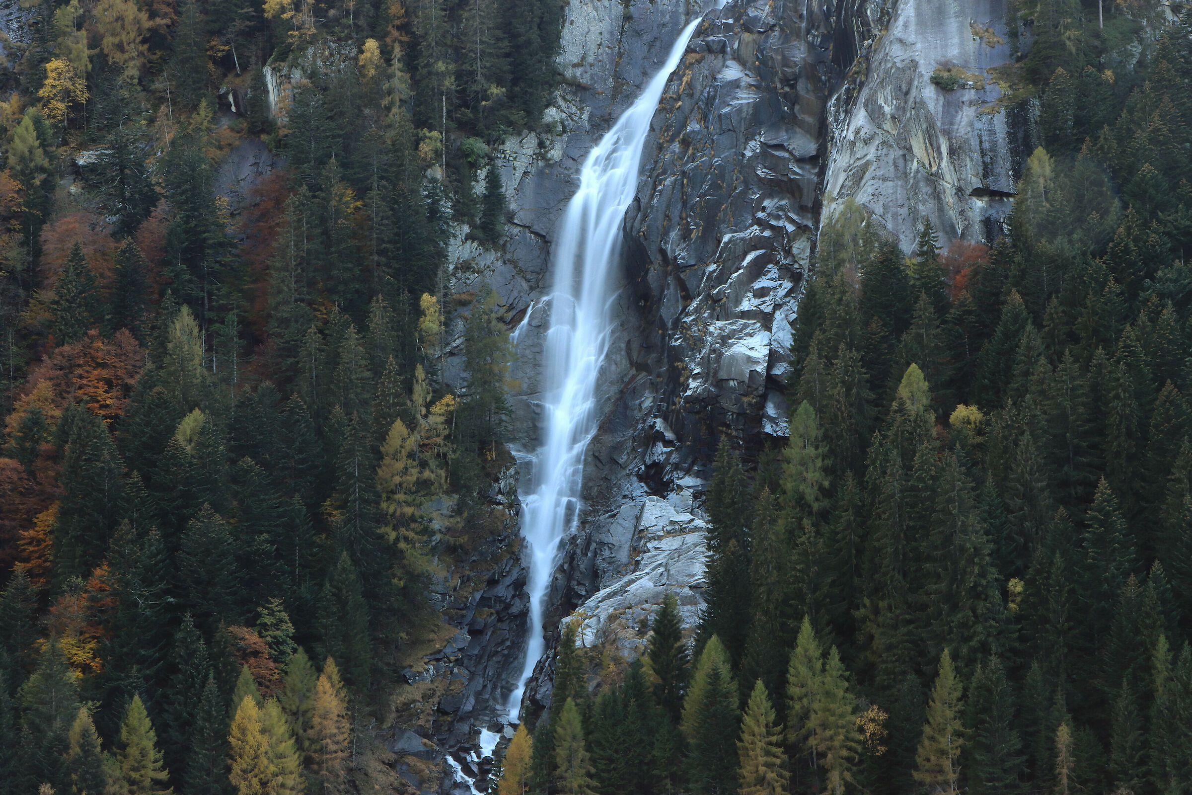 V A L  -  F U M O    10