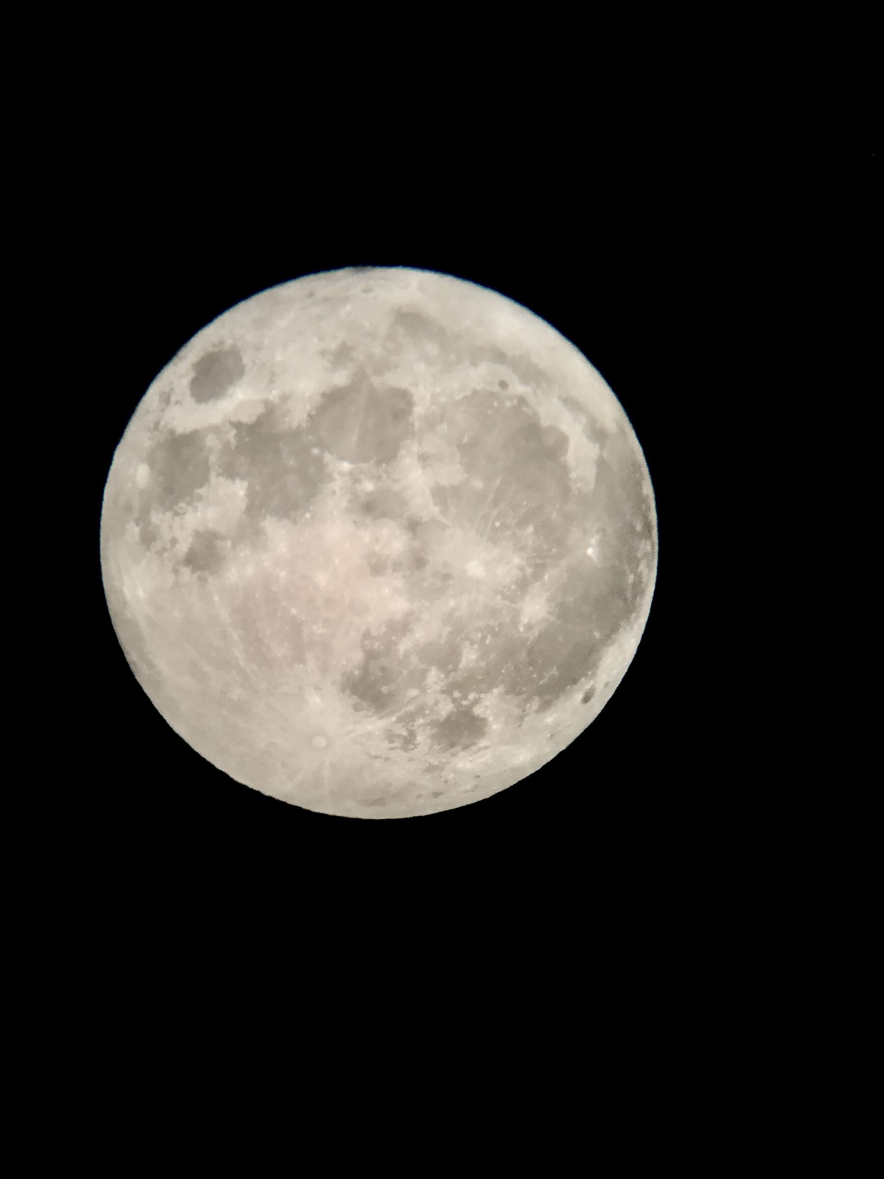 Luna halloween 2020 127