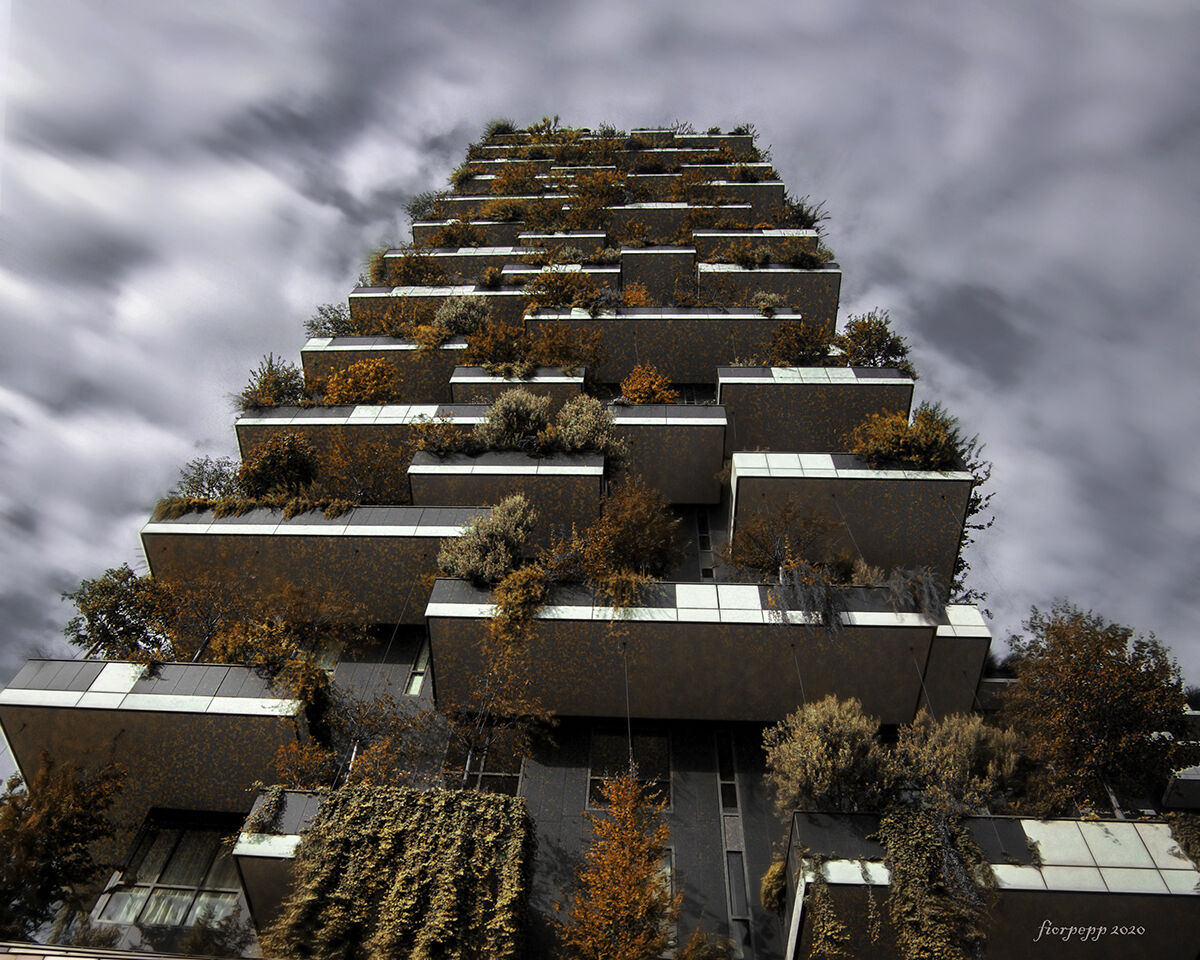 Bosco verticale autunnale