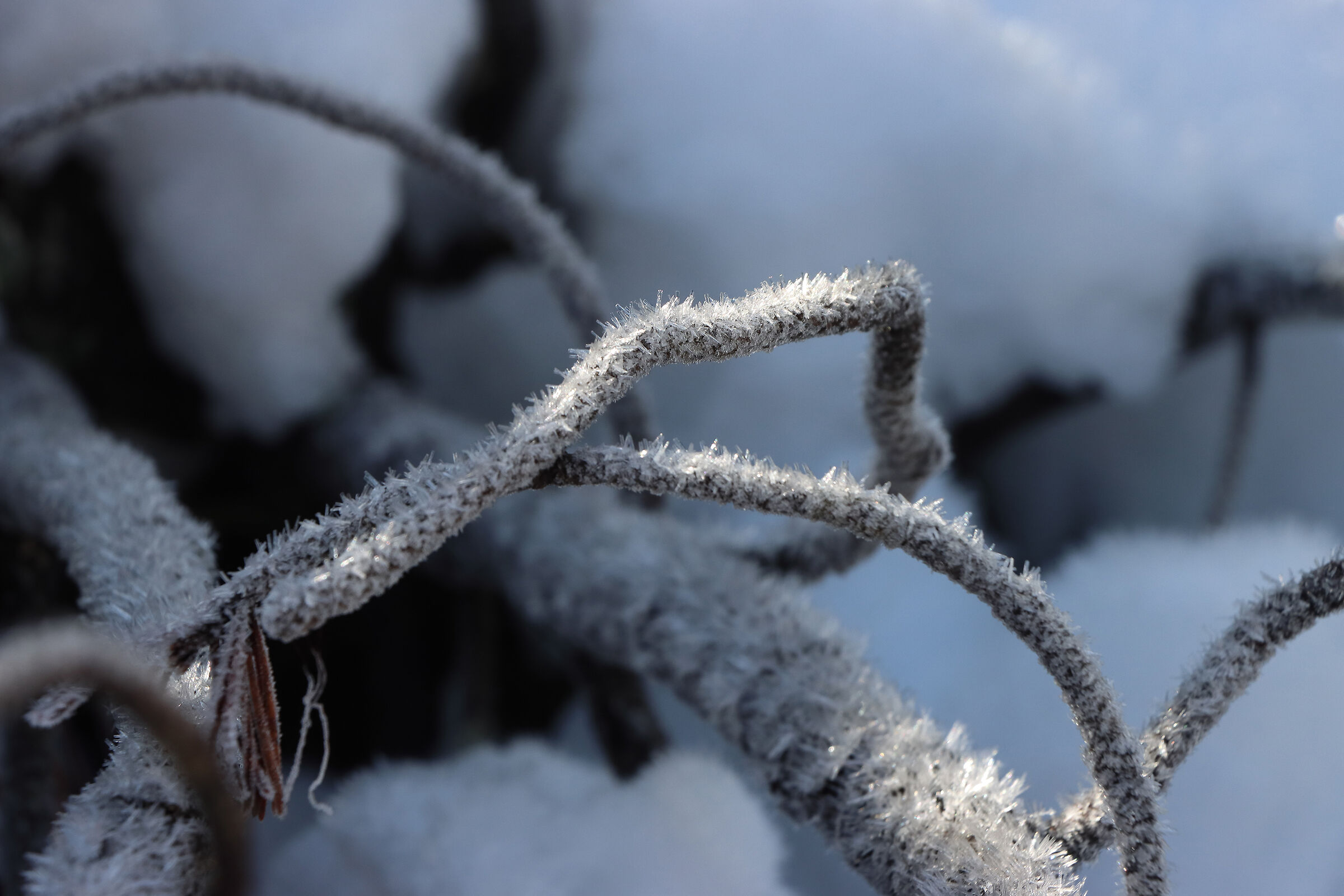 V A L  -  F U M O    11