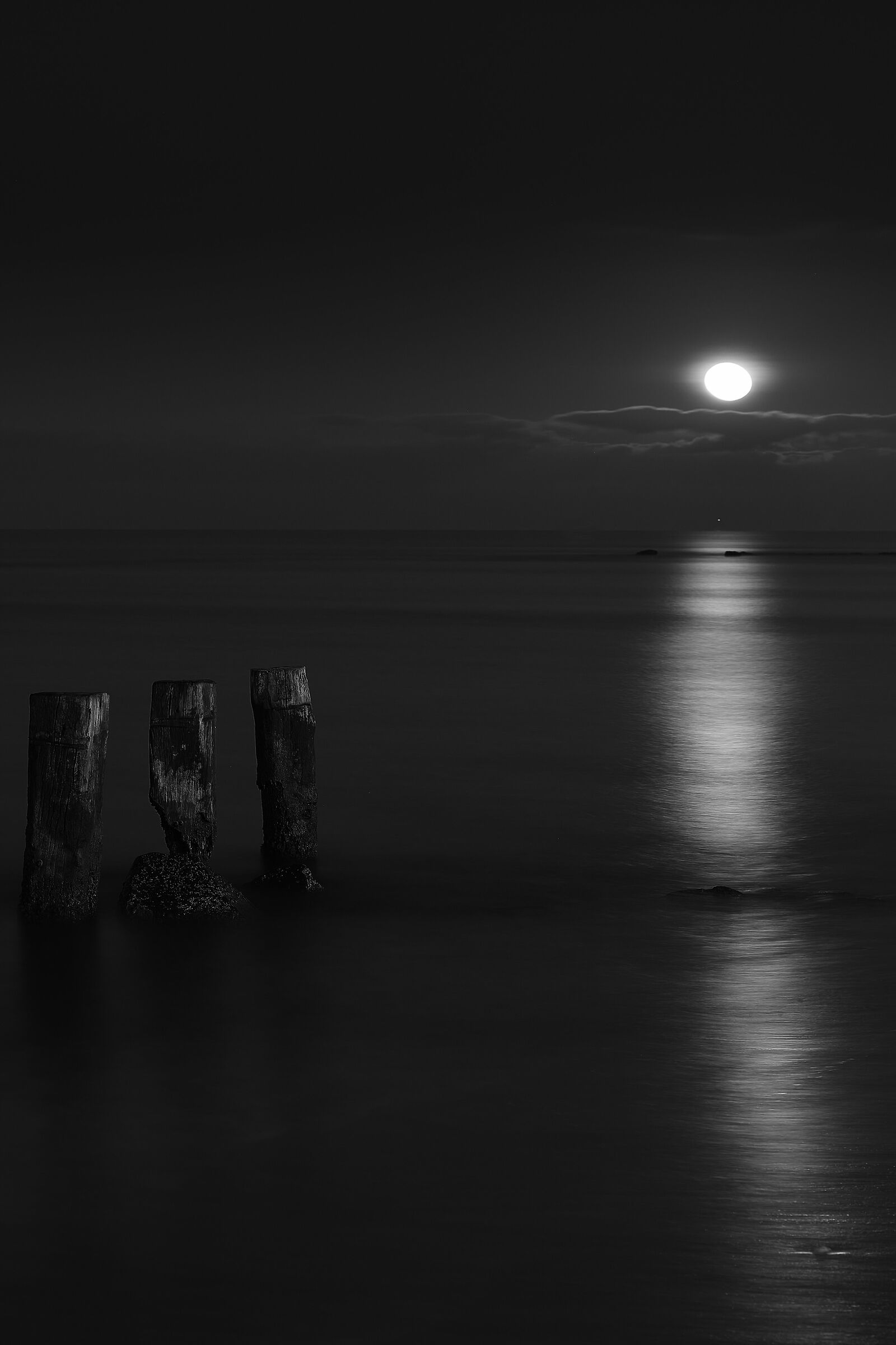 La Luna è una compagna fedele