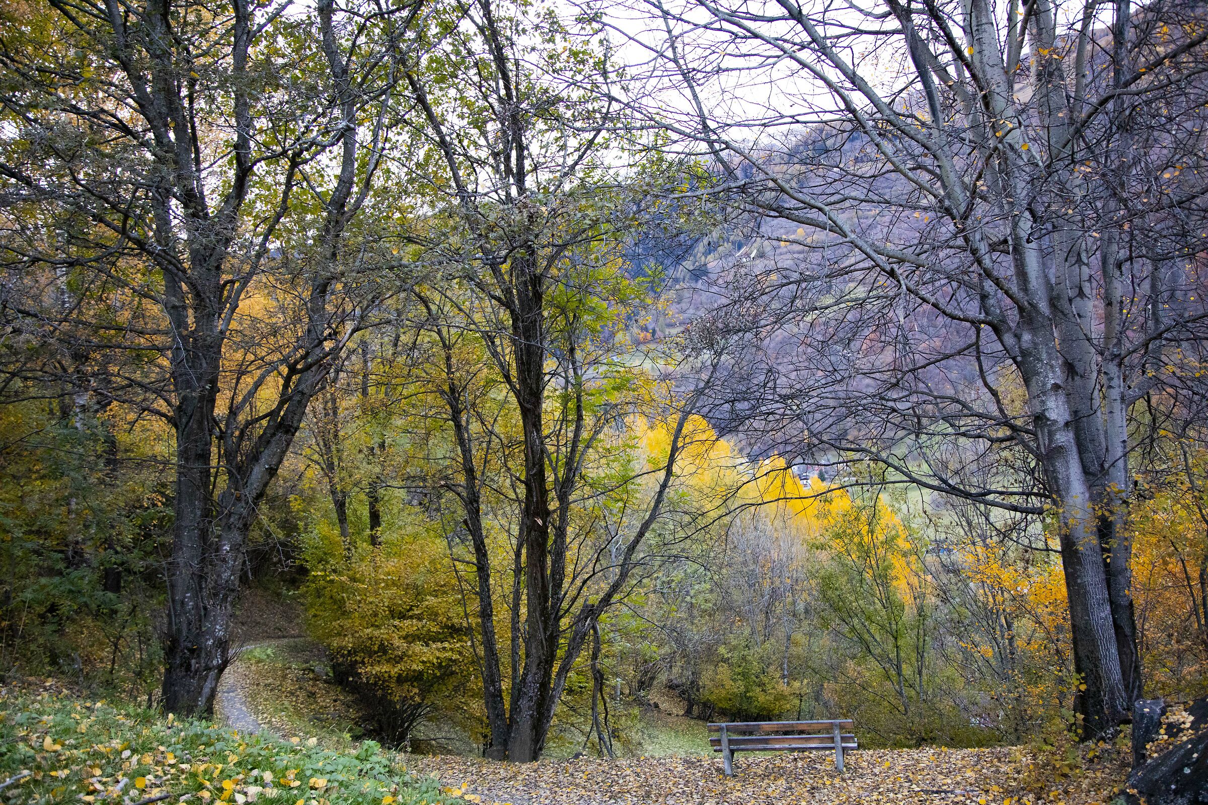 La panchina -Valle di Blenio