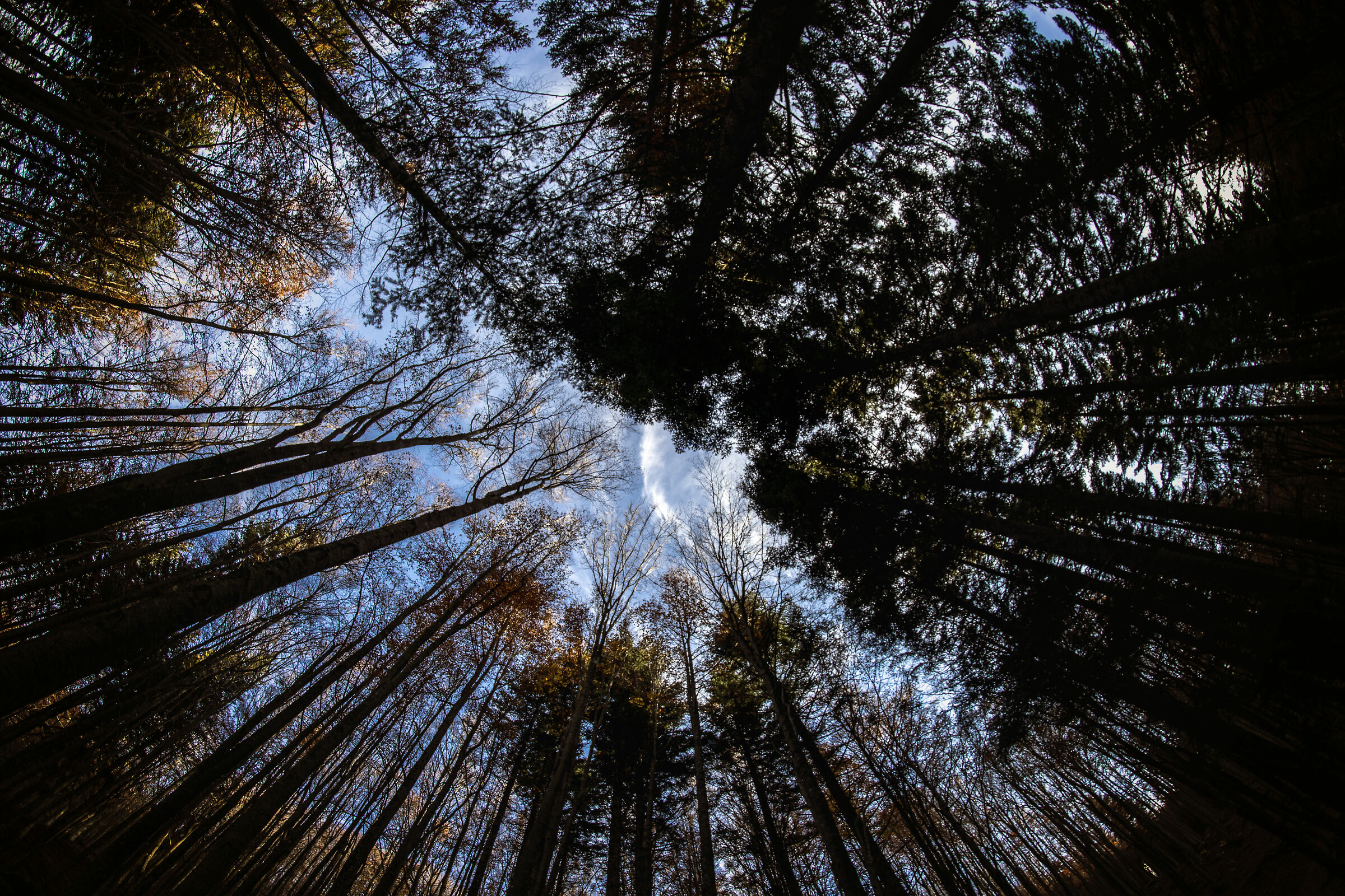 Cascate del Dardagna