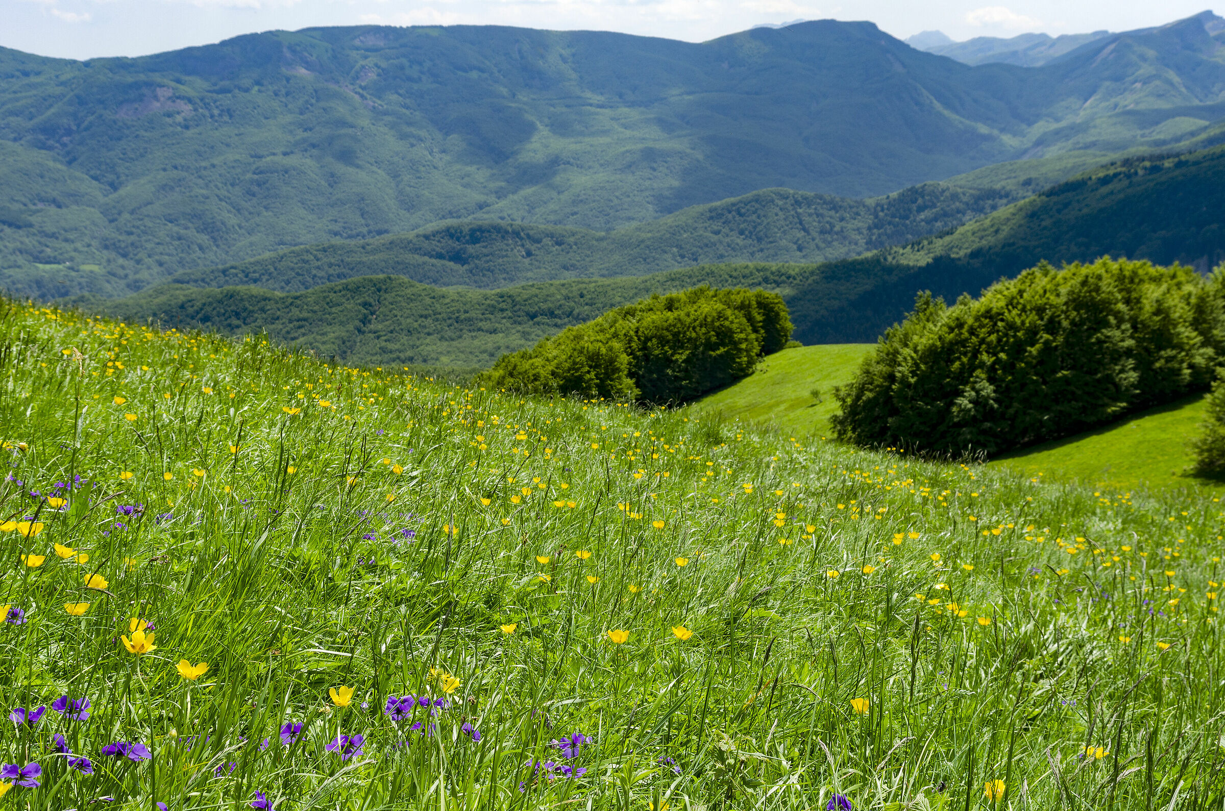 primavera sul crinale