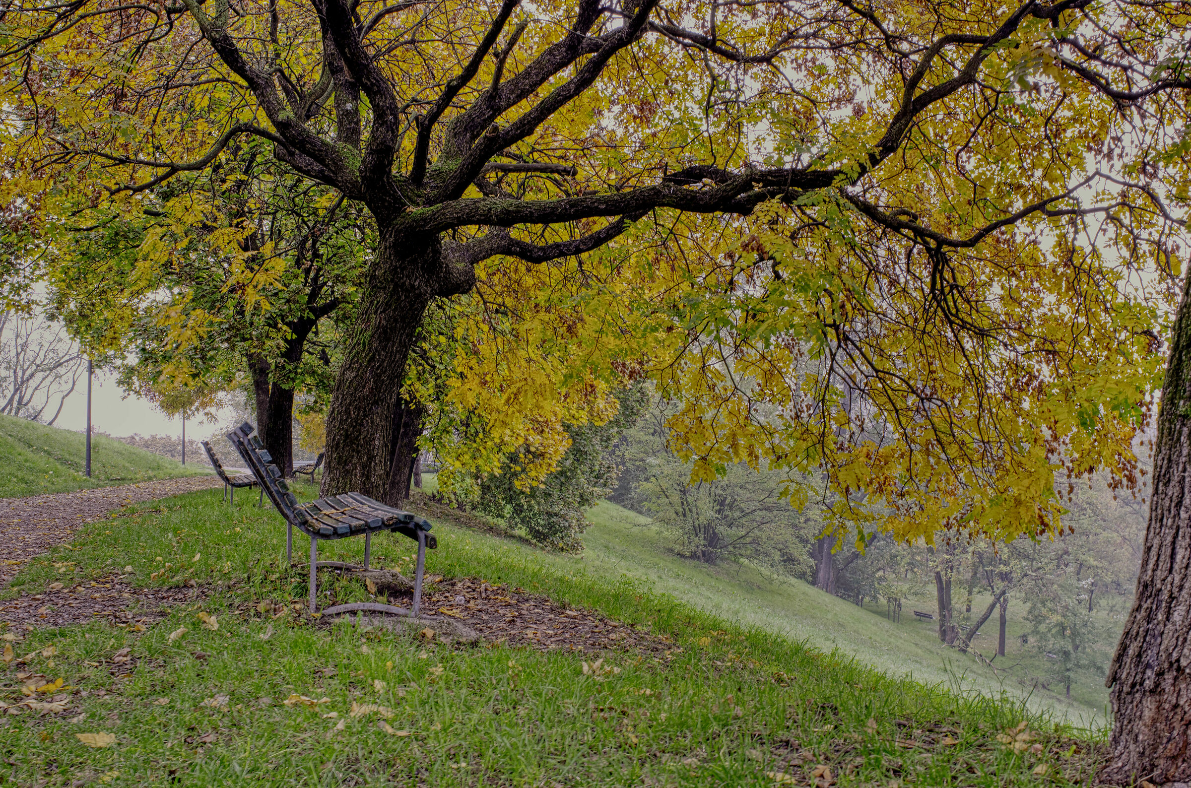 Panchine.