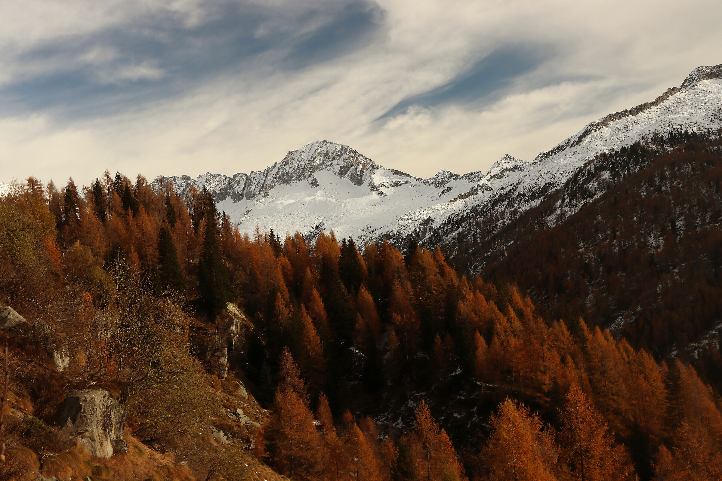 V A L  -  F U M O    12