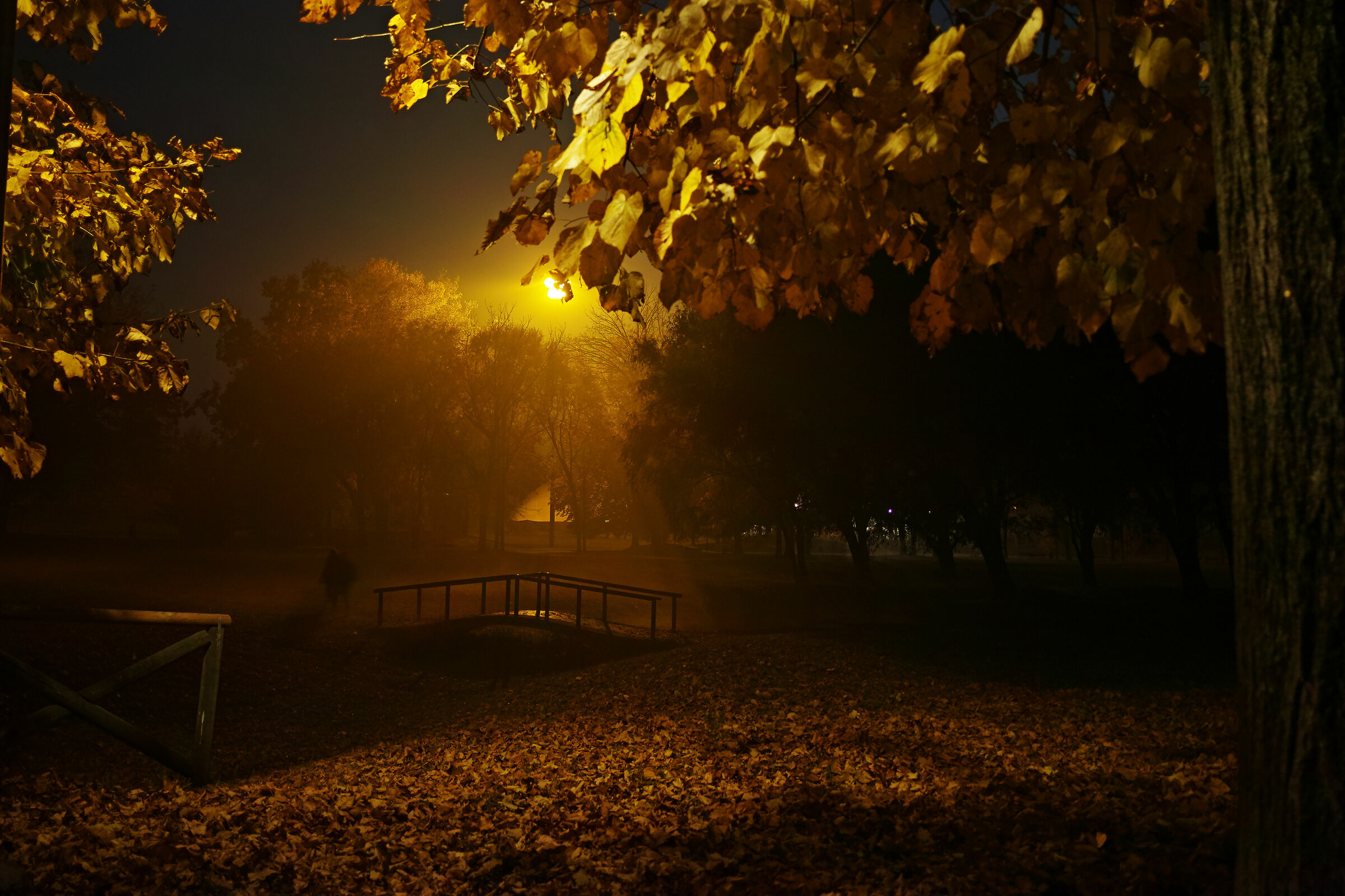 La notte dei morti