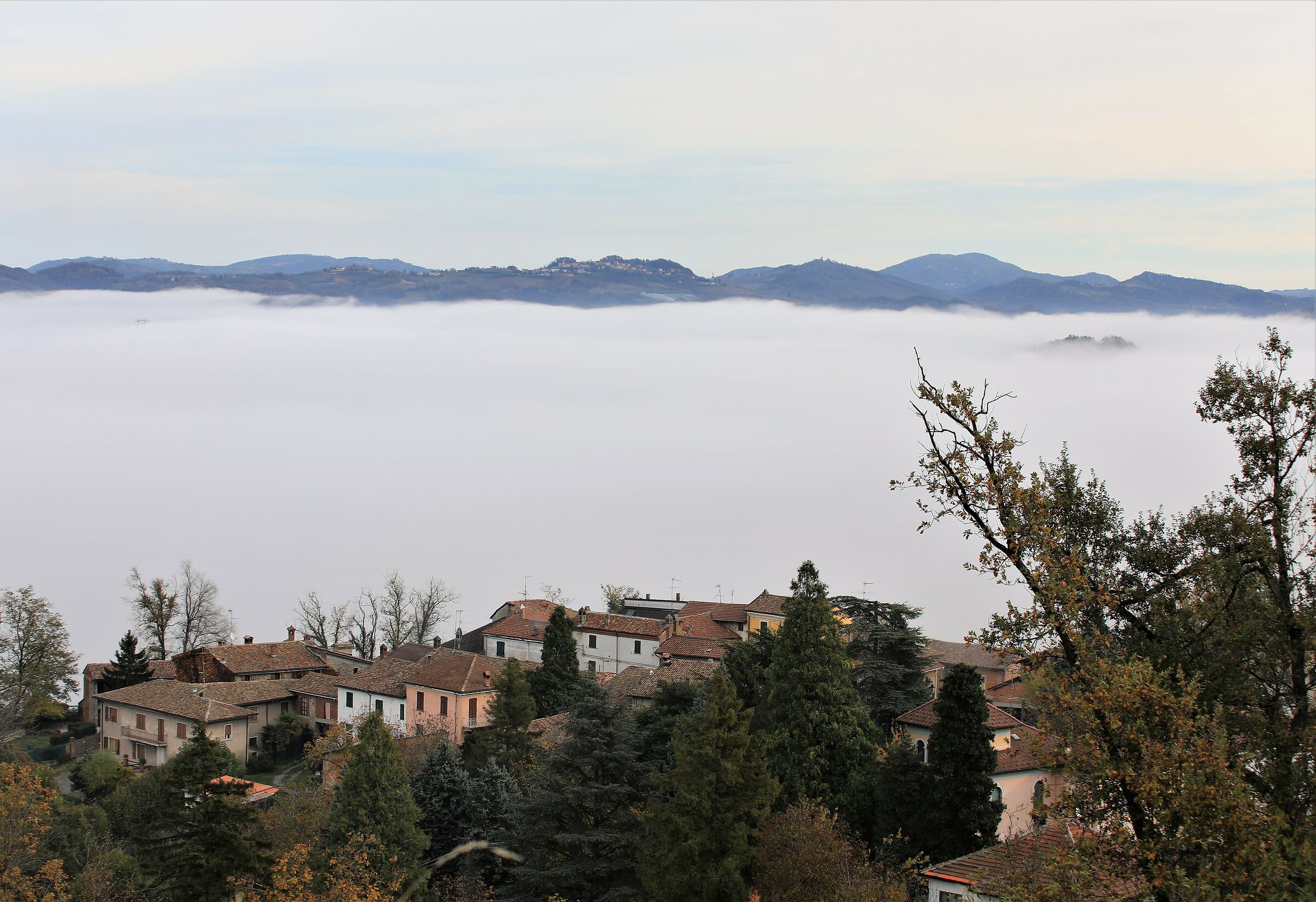 Fog over tortonesi hills