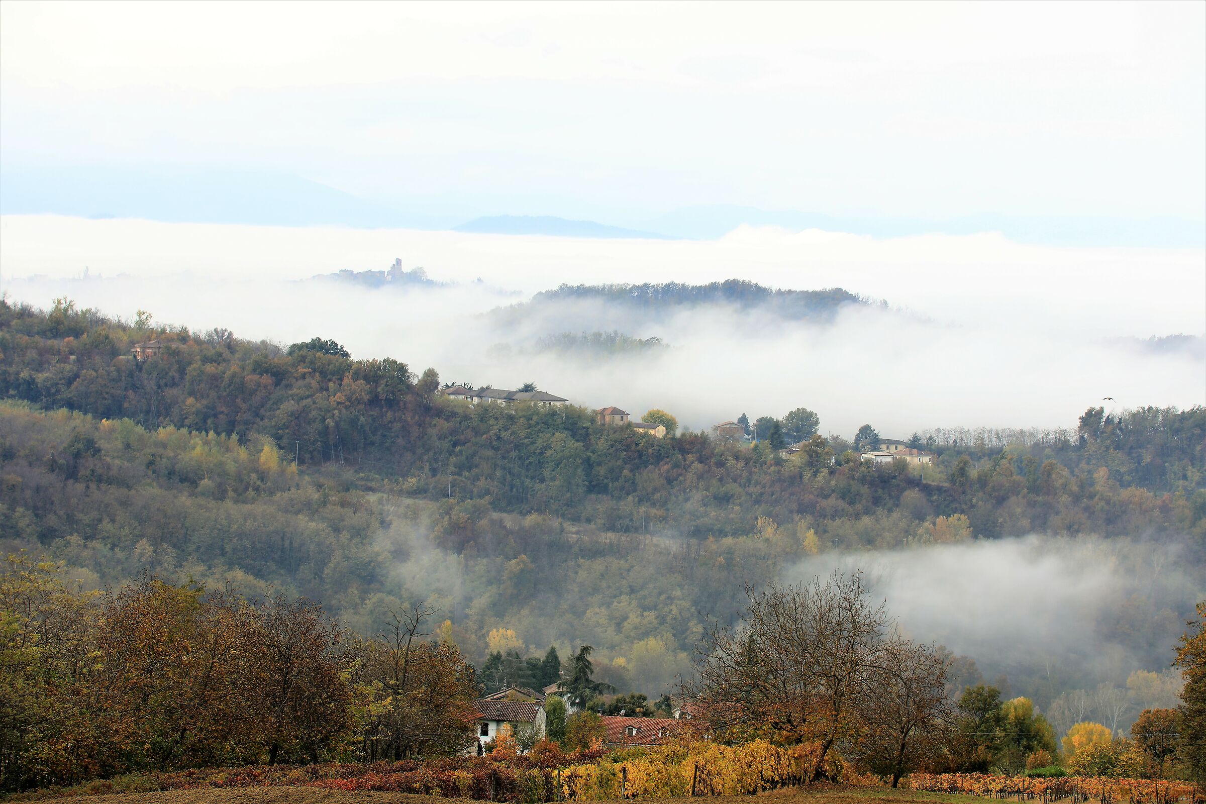 Fog over tortonesi hills 2