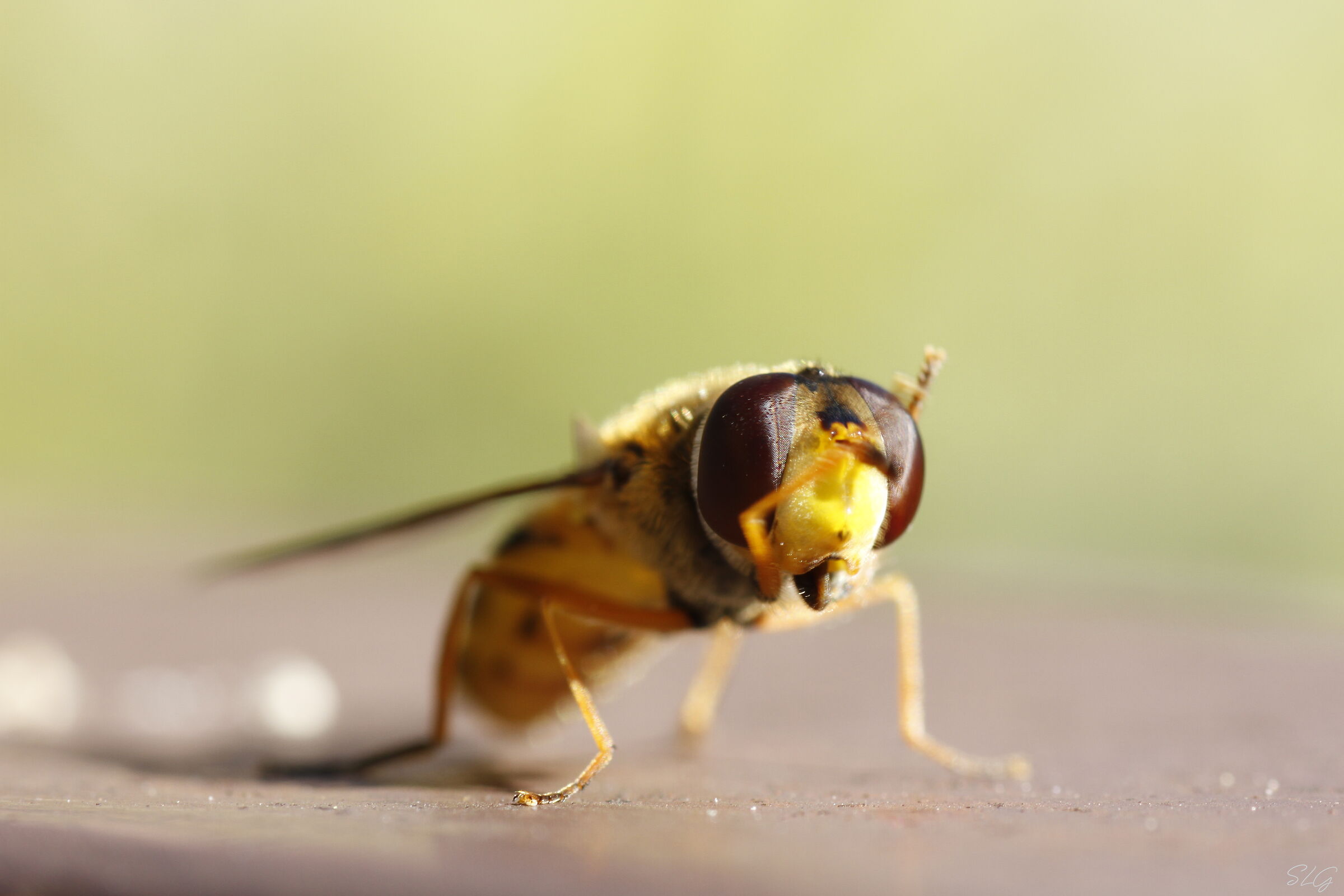 They say it cleans up