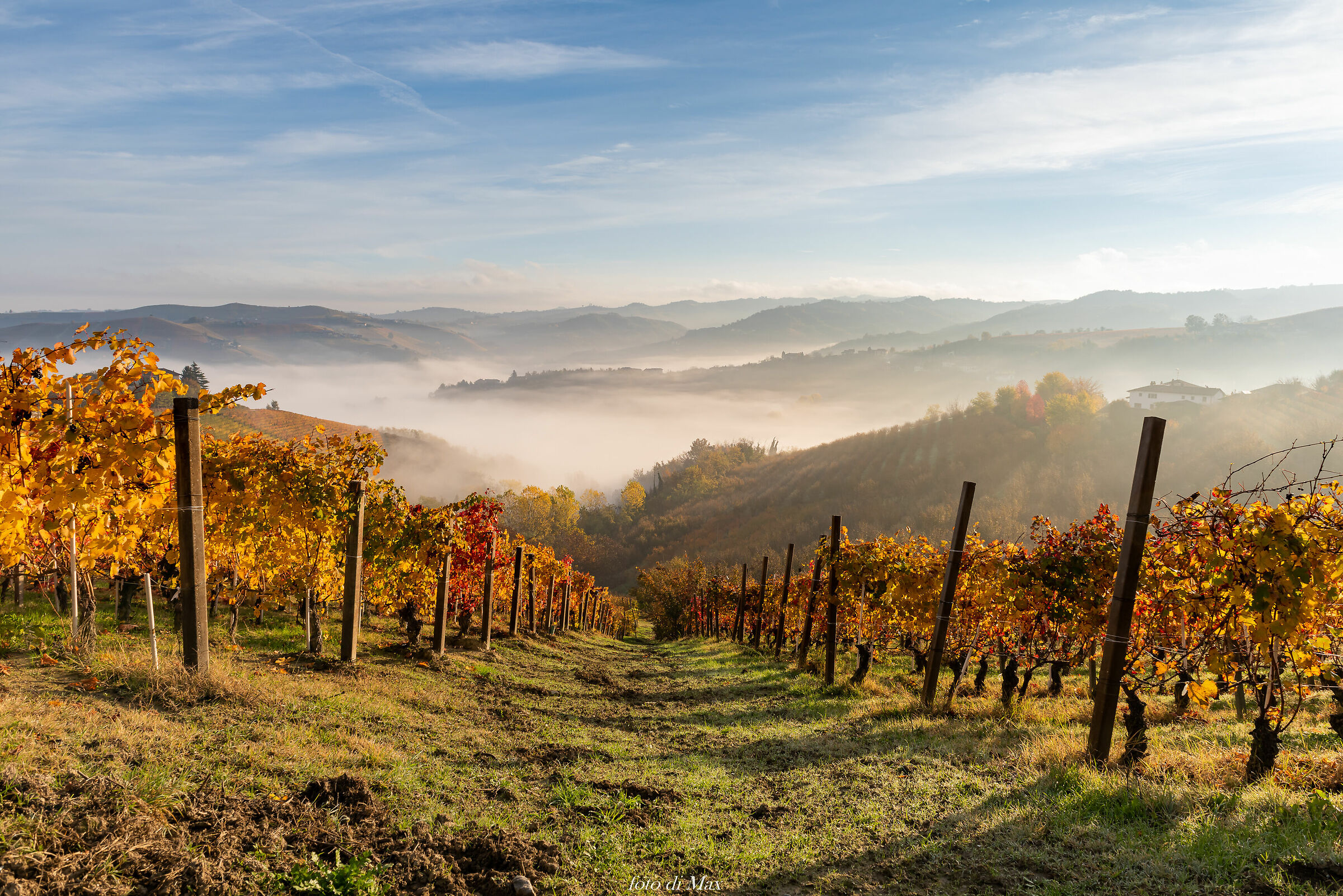 langhe and fog