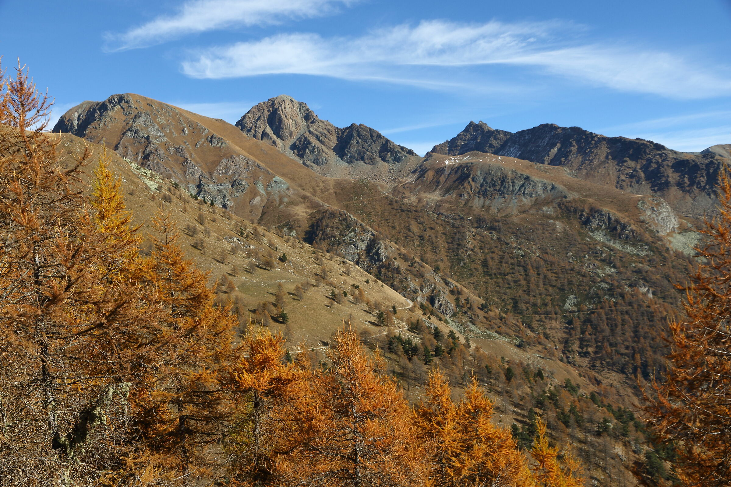 monte orsiera