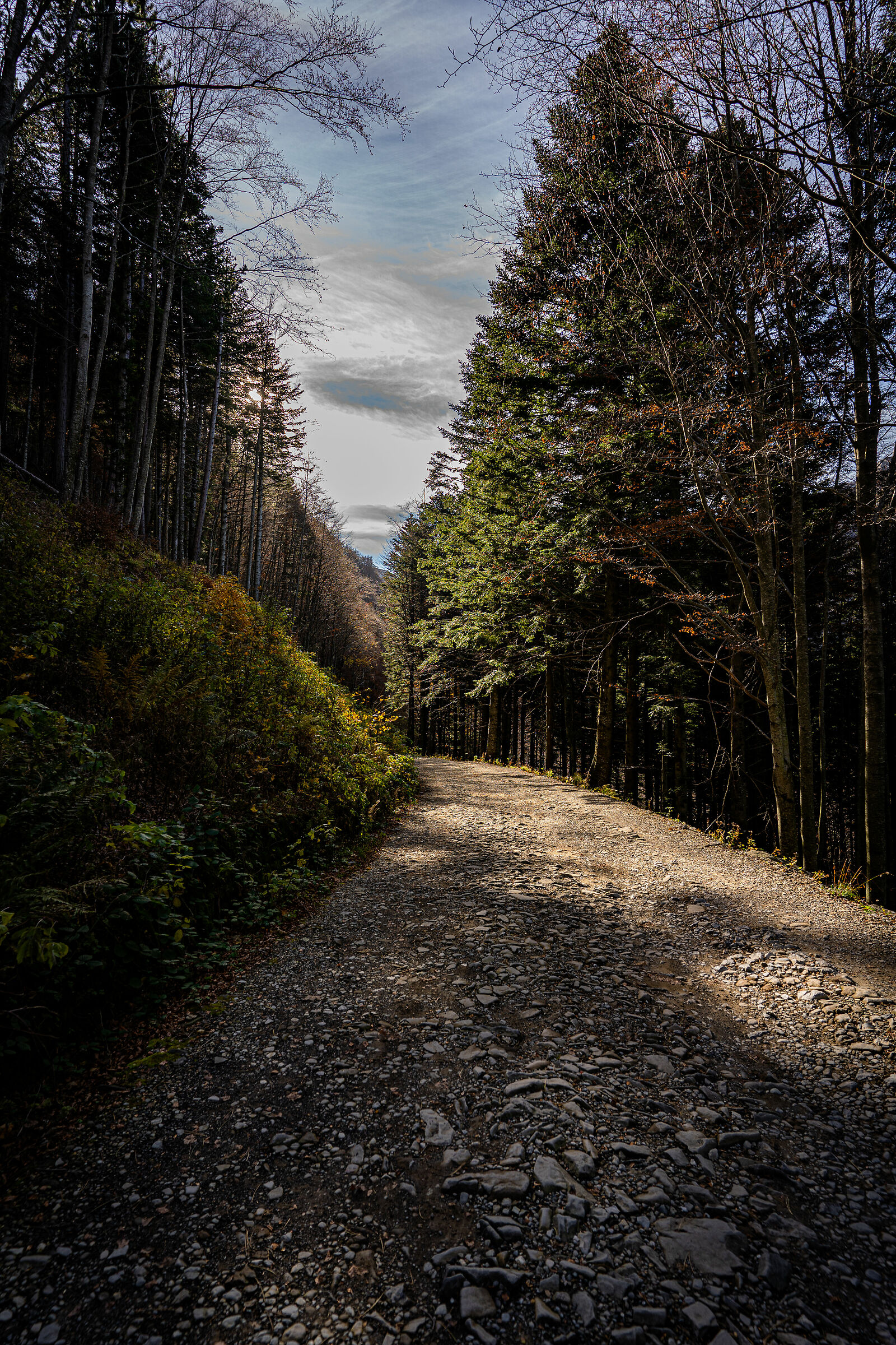 Path