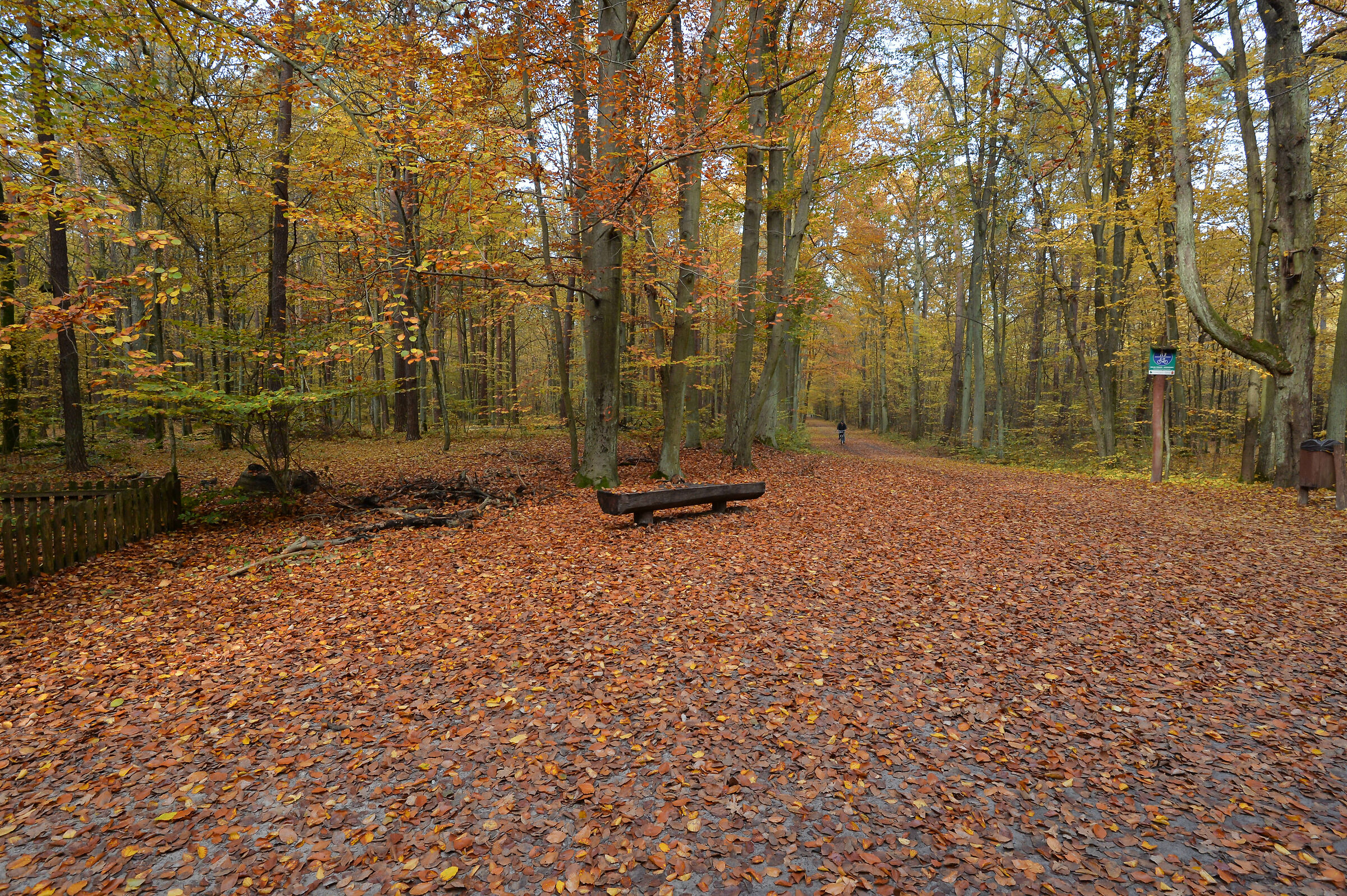 Impressione autunnale 5